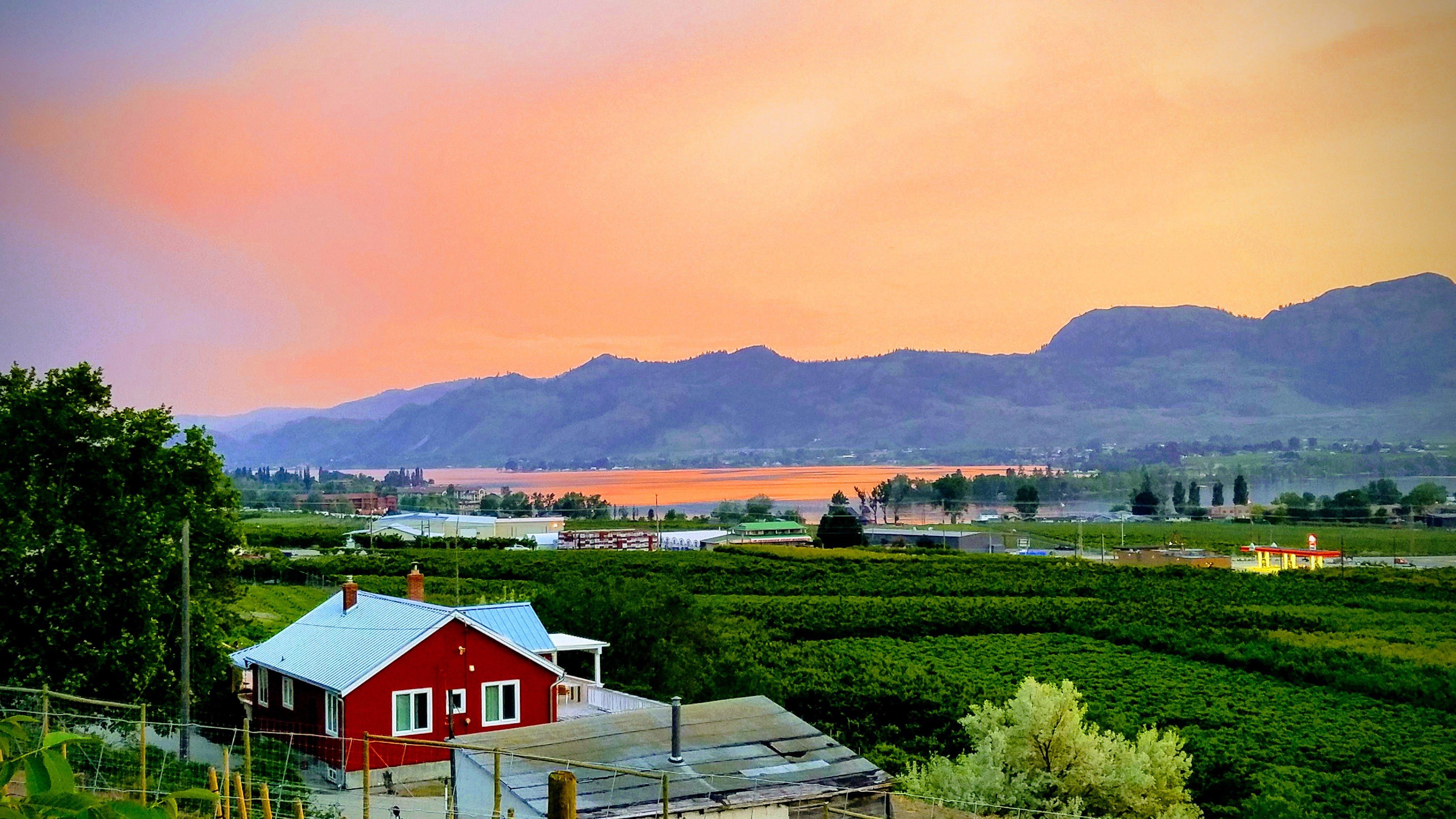 The White Horse Bed and Breakfast