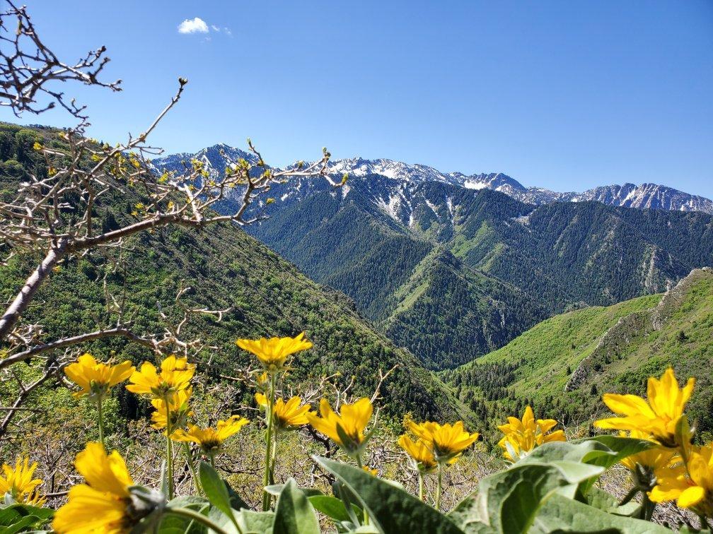 Grandeur Peak-Via Church Fork Trail