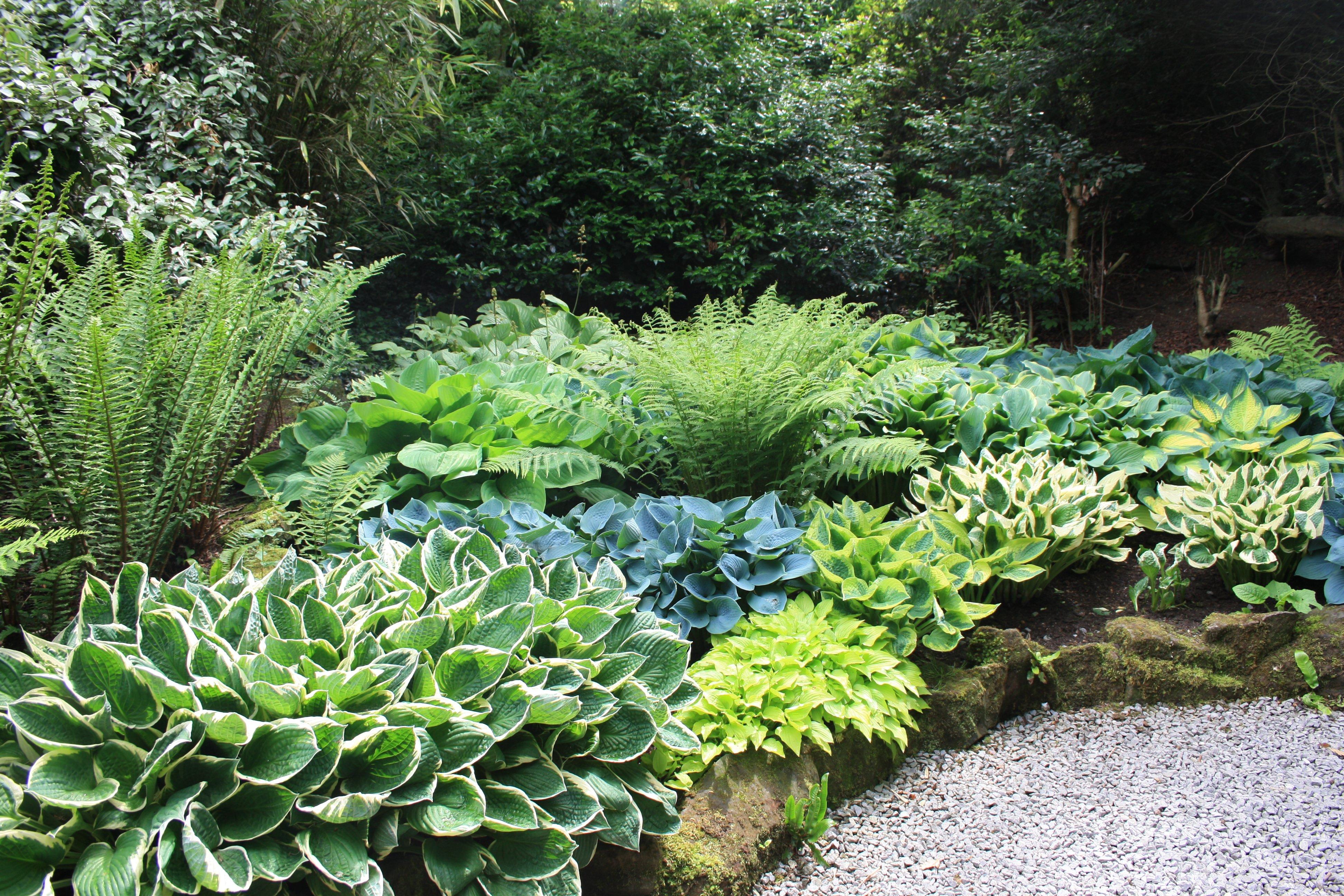 Walled Garden Restaurant