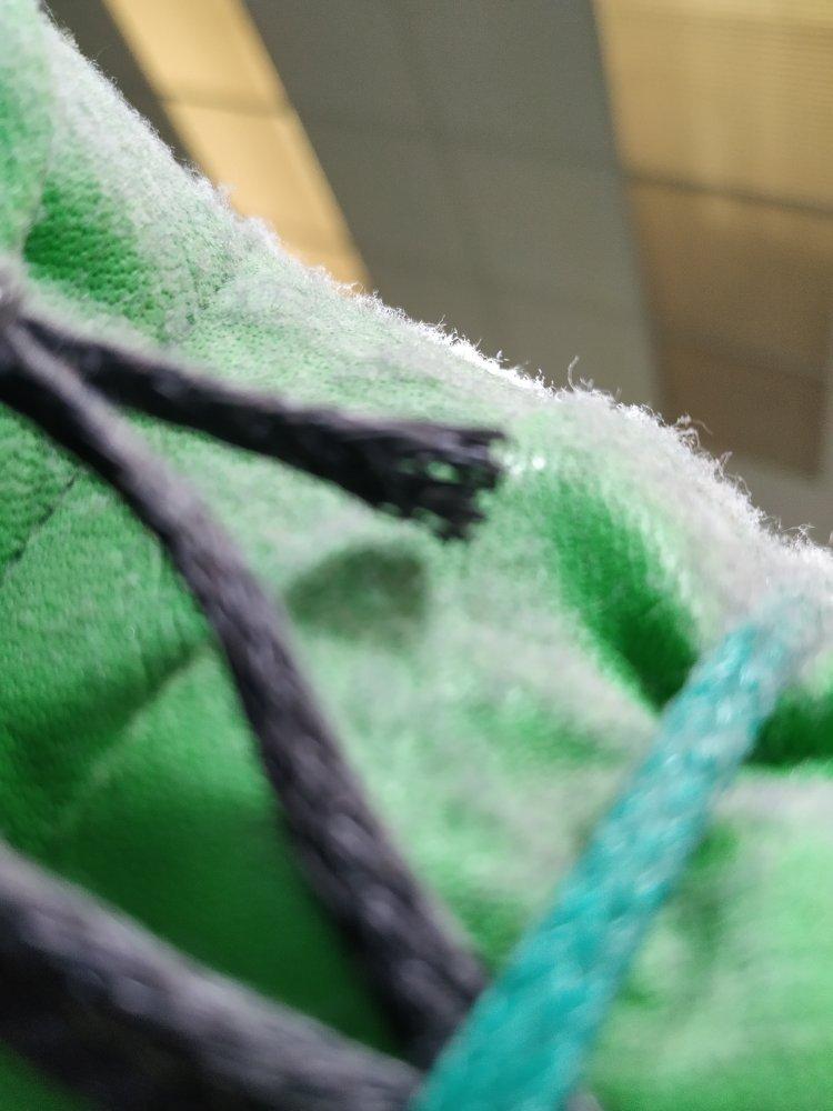 Rainforest Adventure