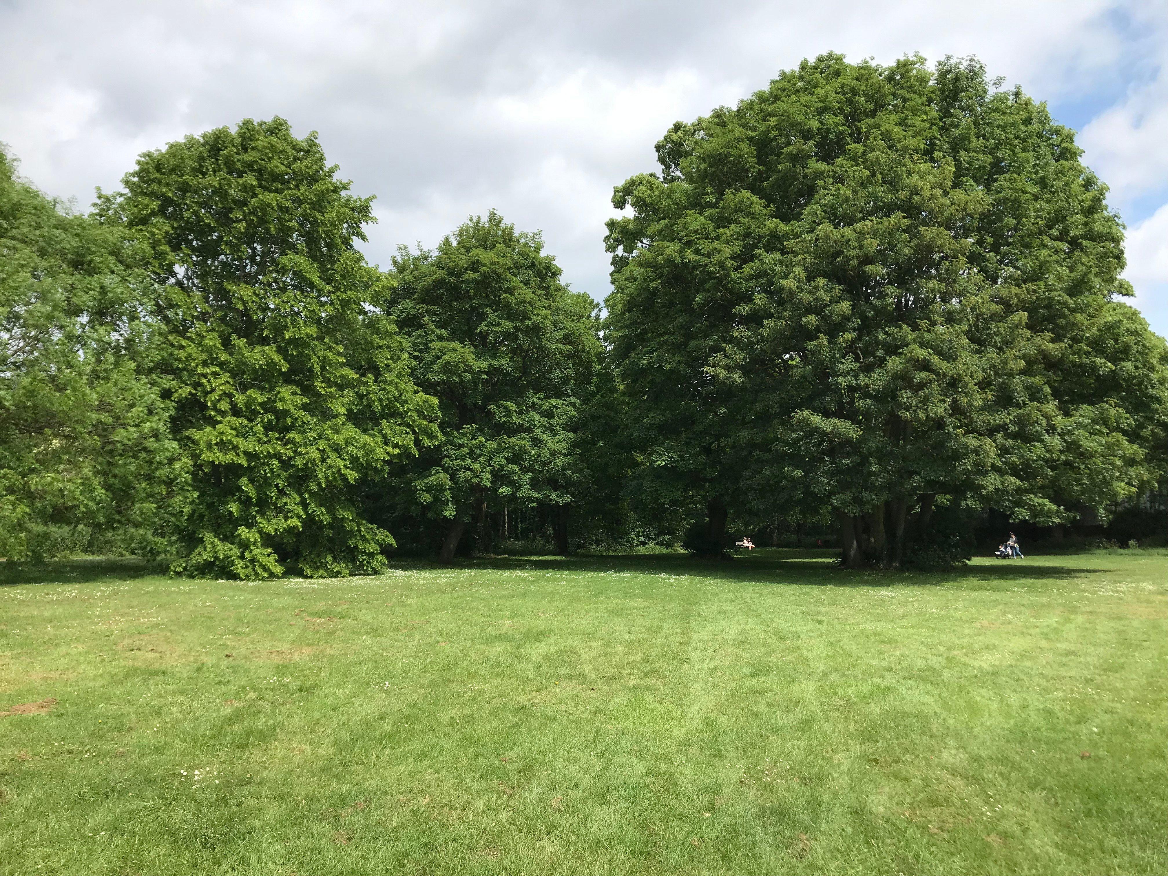 Leavesden Country Park