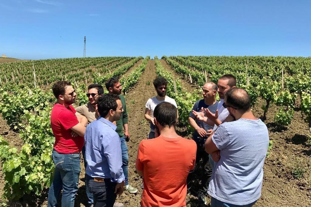 Azienda Agricola Bioviola & Sicilì Bottega Biologica