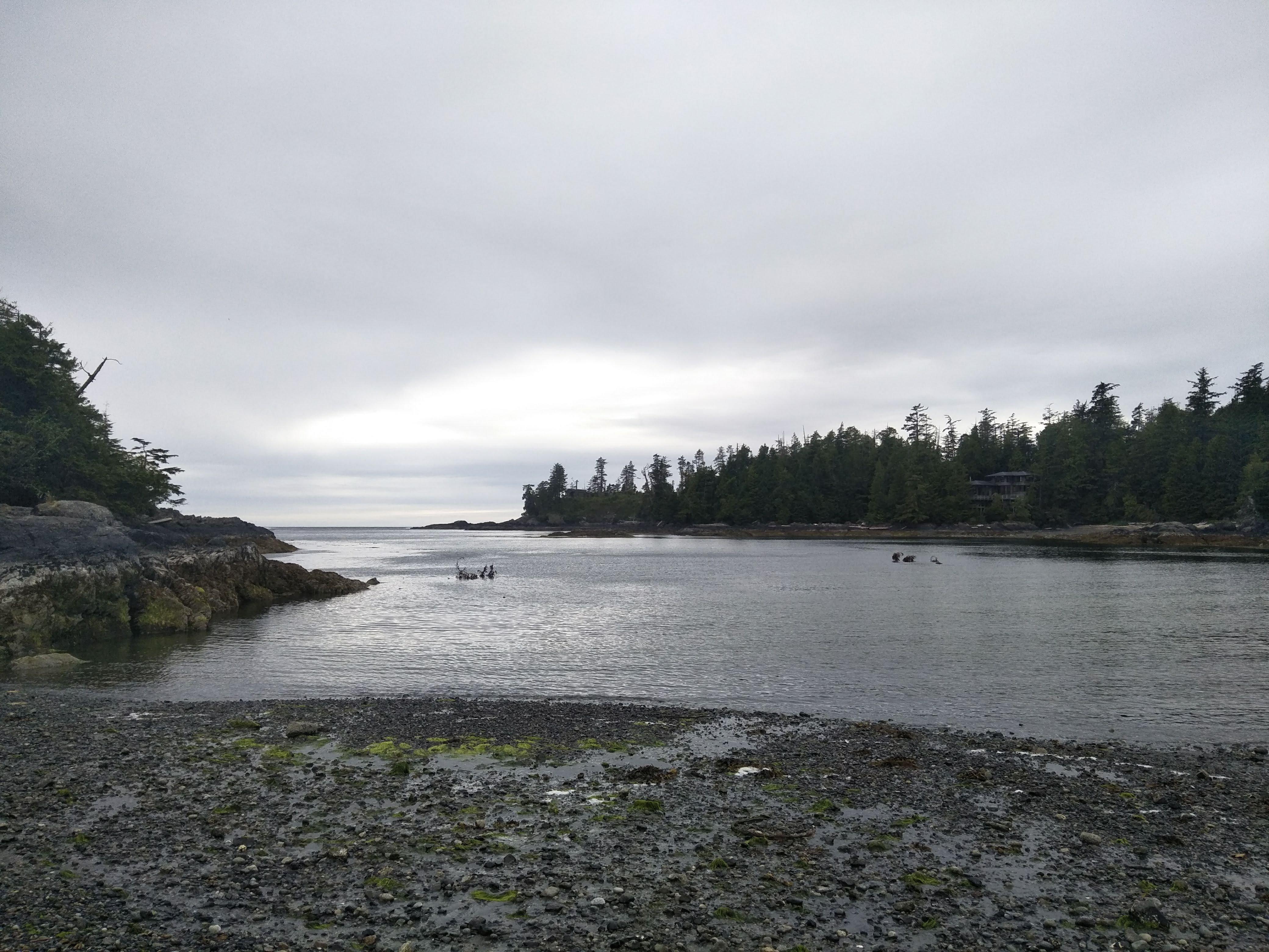 Photo by Rolland_Buttar