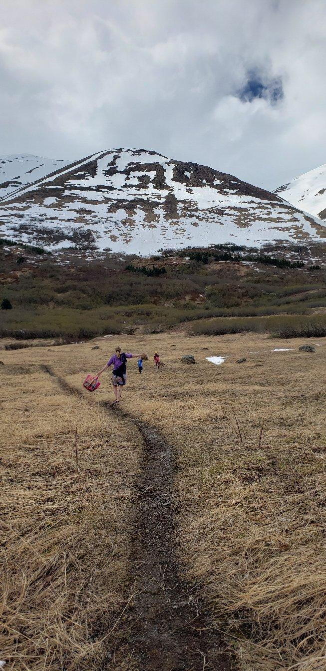 Photo by Sully_ak907