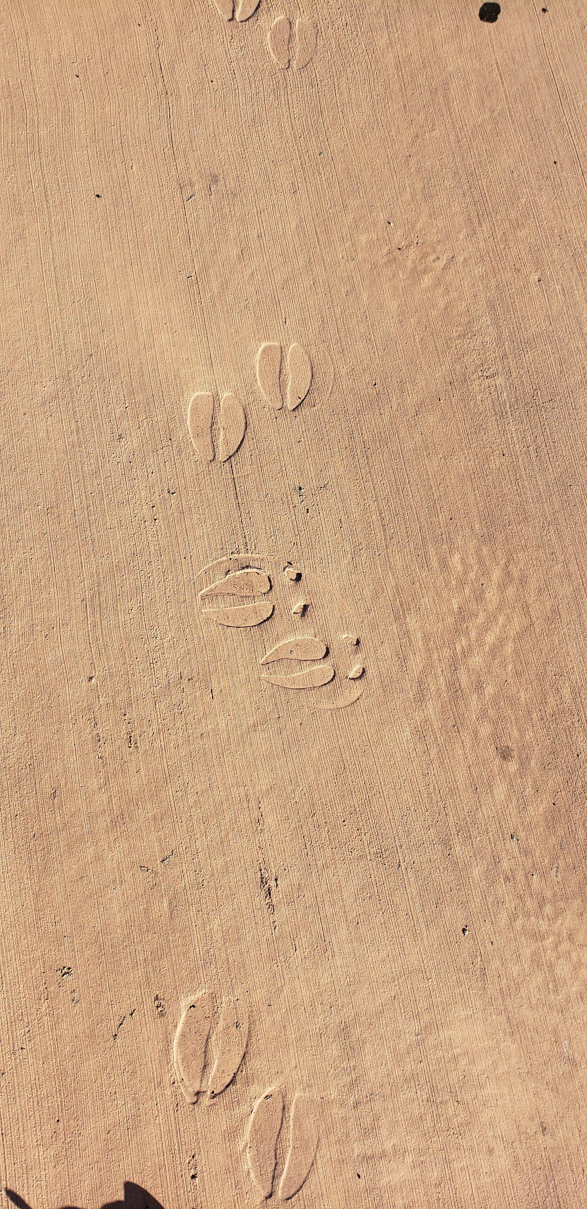 Wardle Regional Park