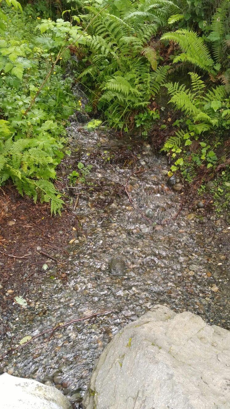 Soos Creek Trailhead