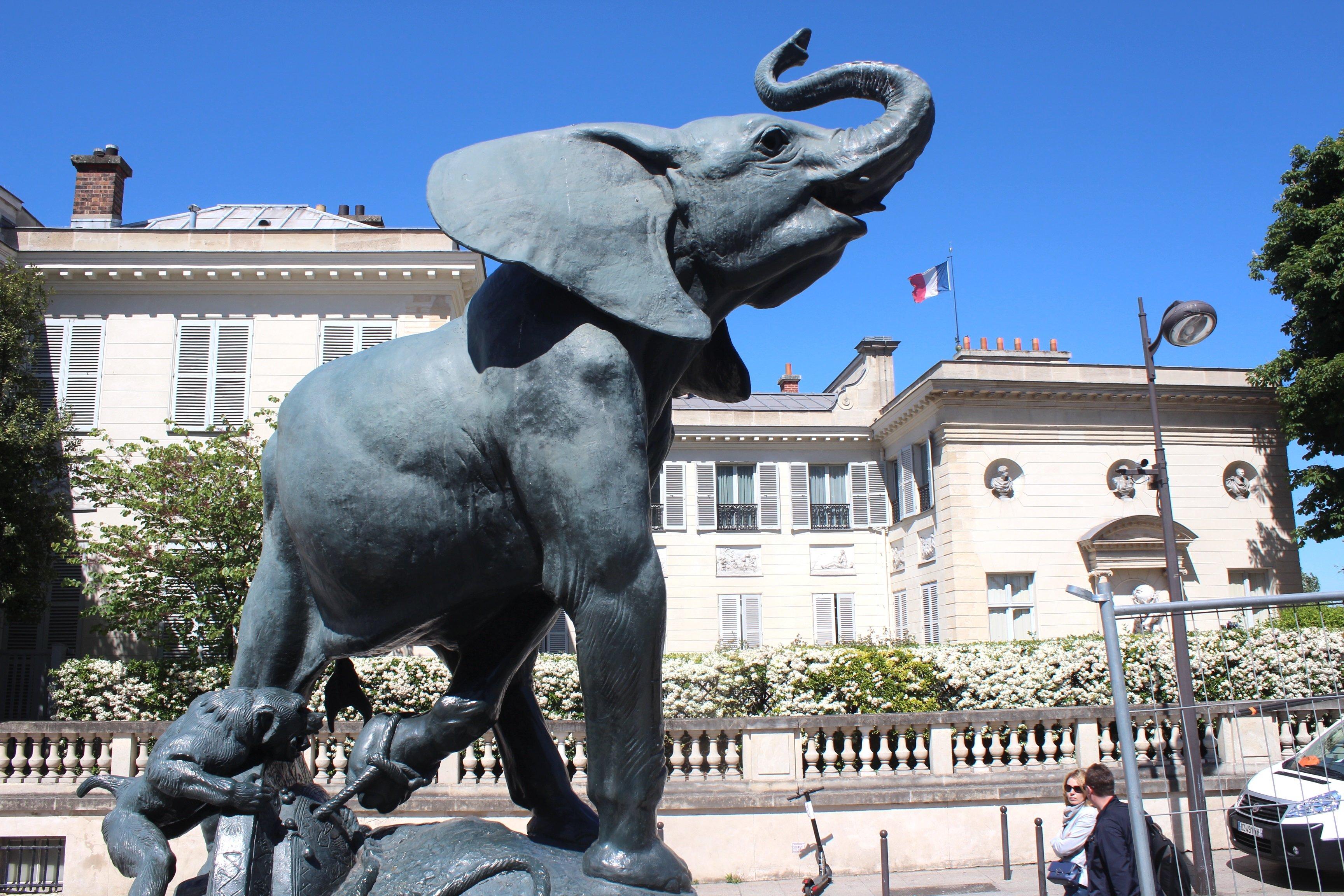 Statue "Elephant pris au piege"