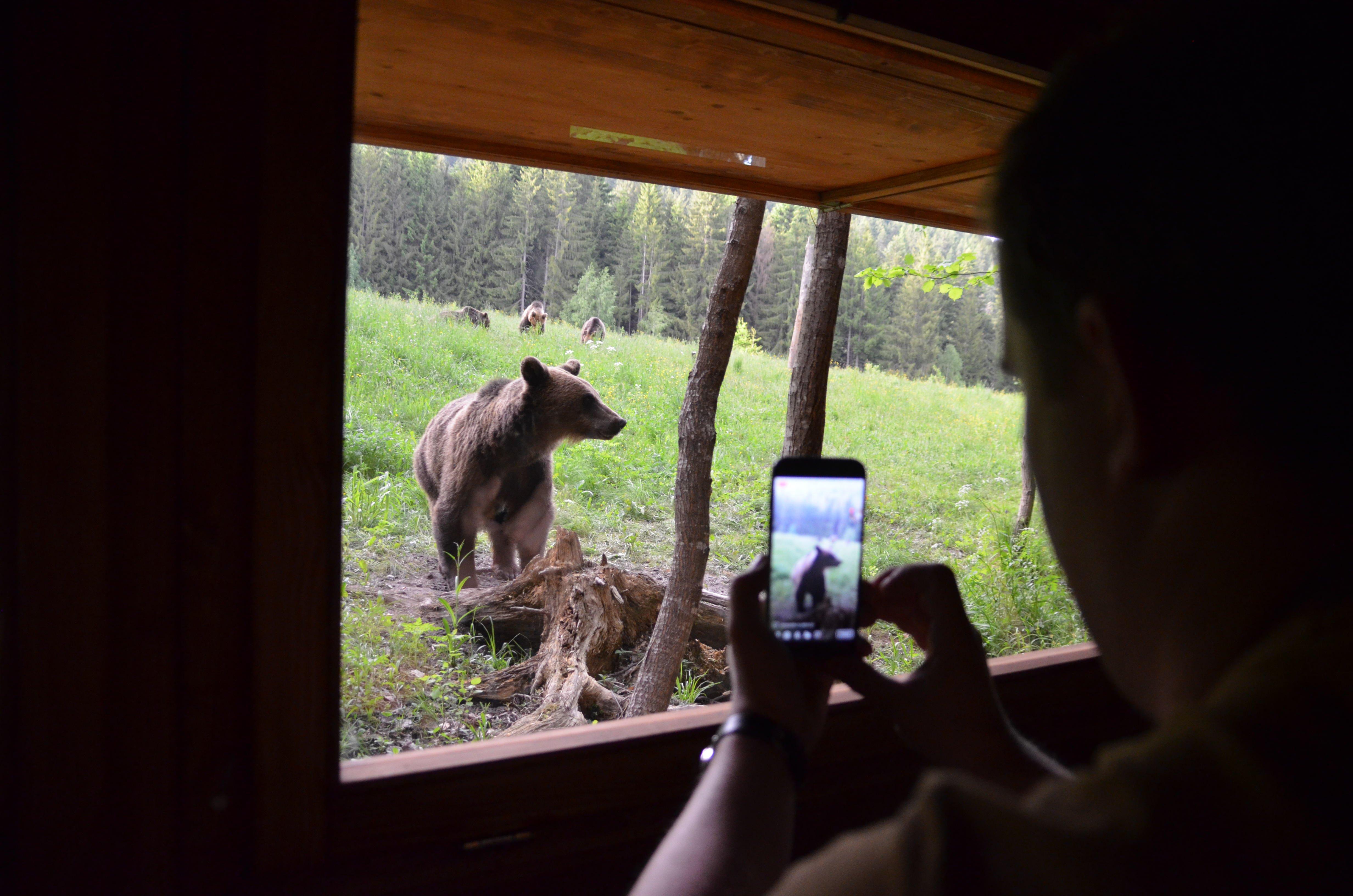 Outdoor Holidays (neotour Brasov)