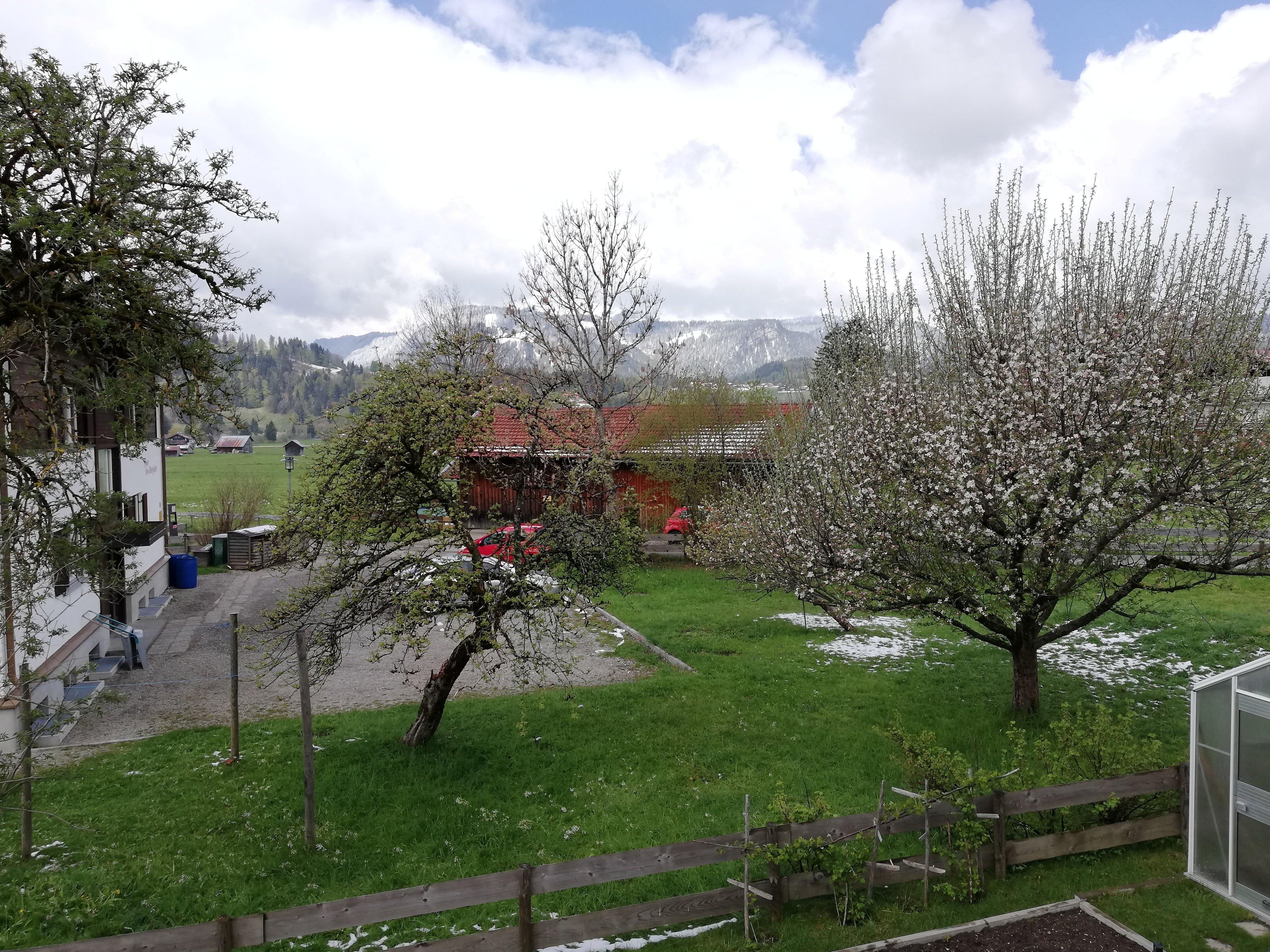 Landhaus Fliegenpilz