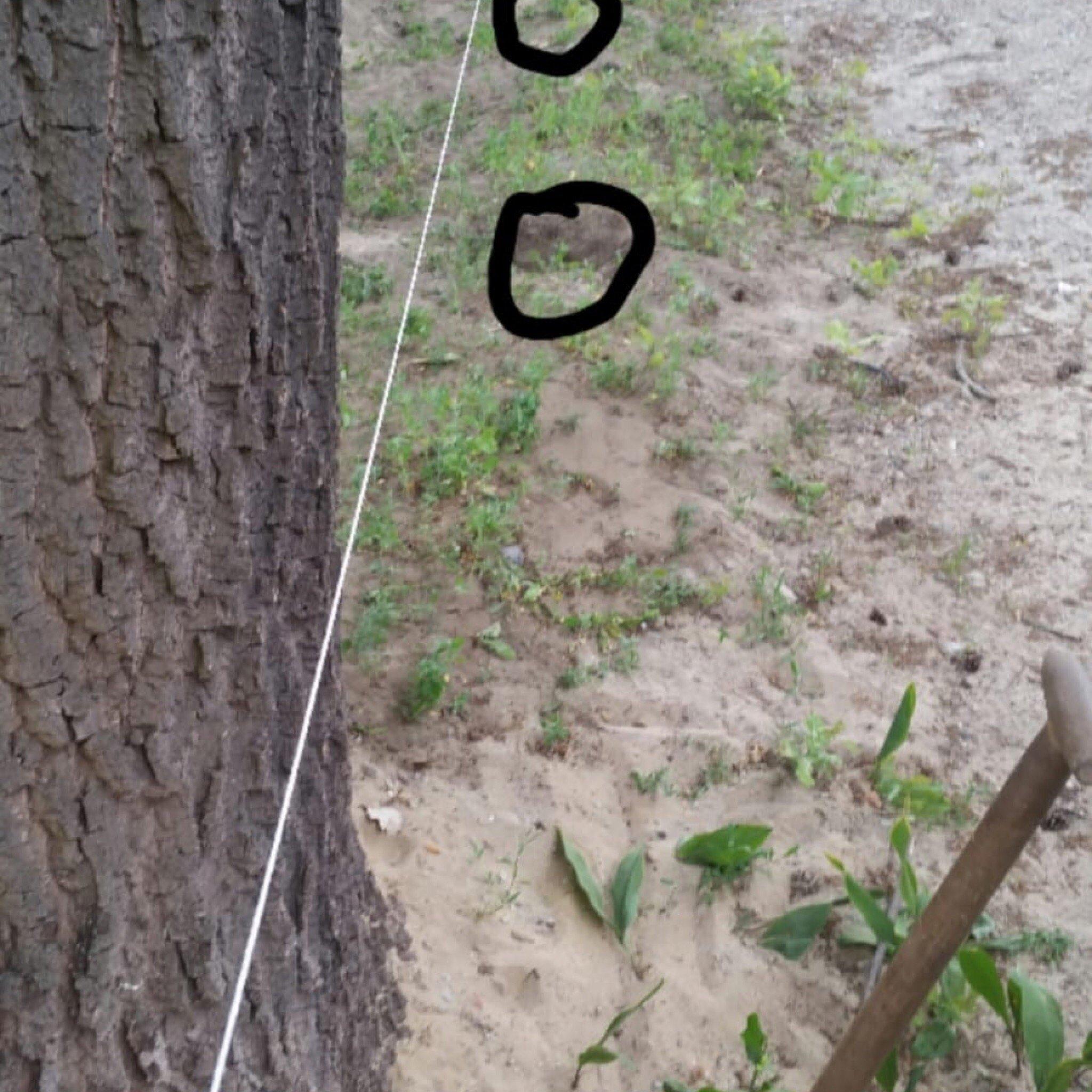 Photo by Odyssey65017108446