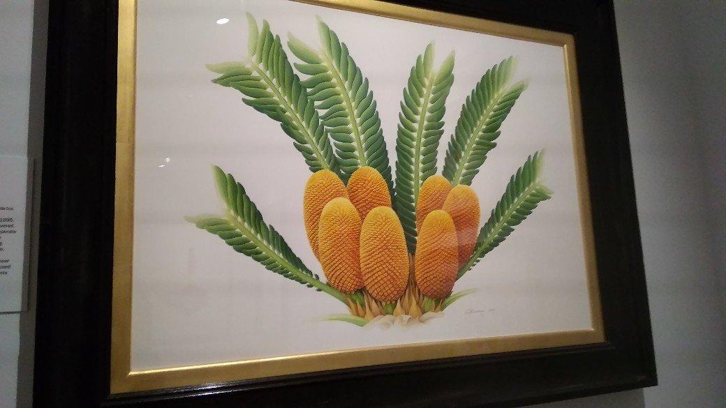 Shirley Sherwood Gallery of Botanical Art