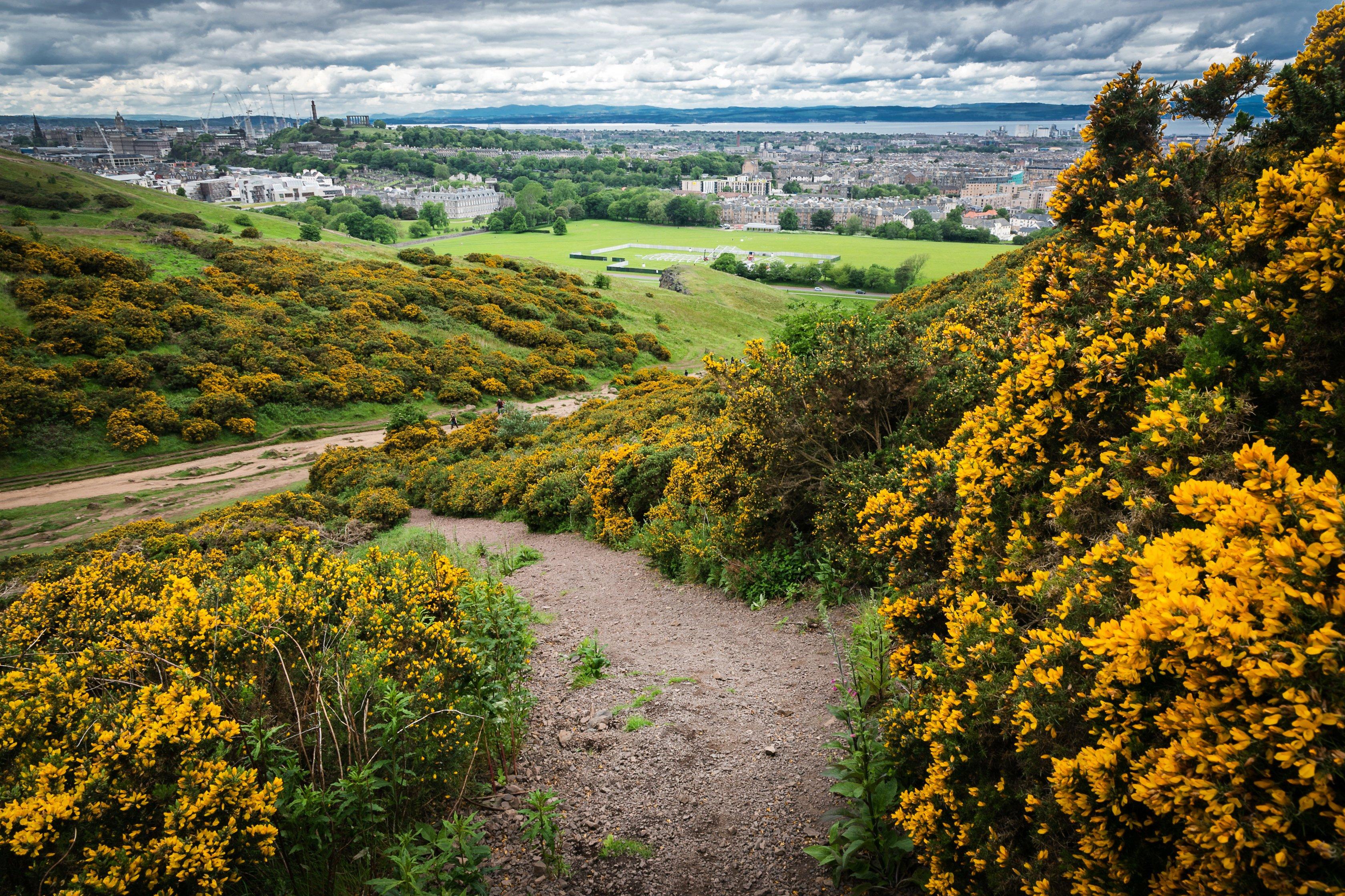 Arthur's Seat