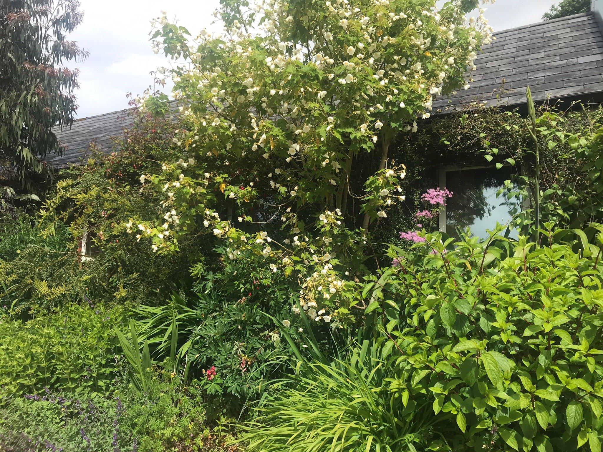 Glebe House and Gallery