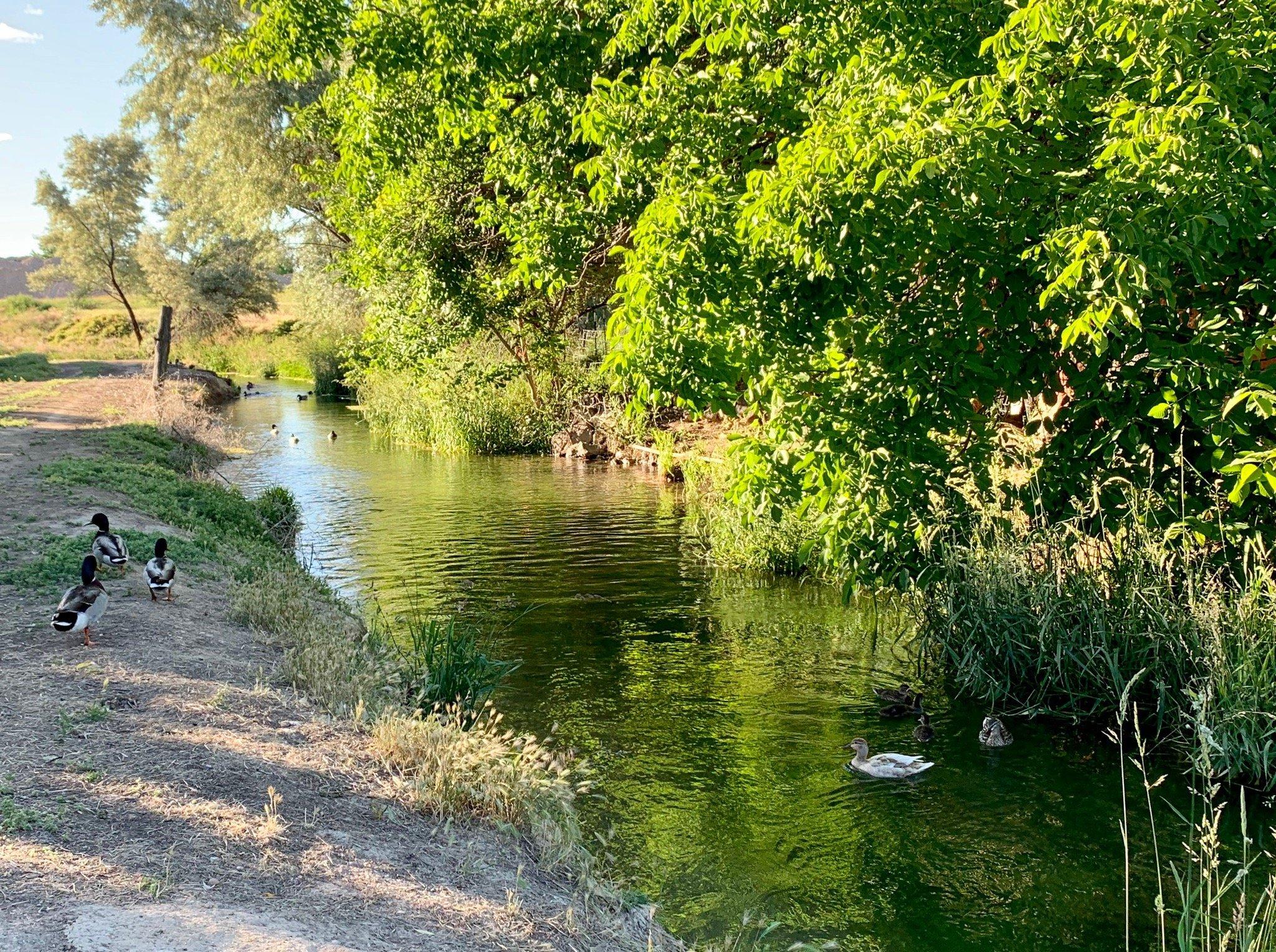 Photo by TeavanaGirl