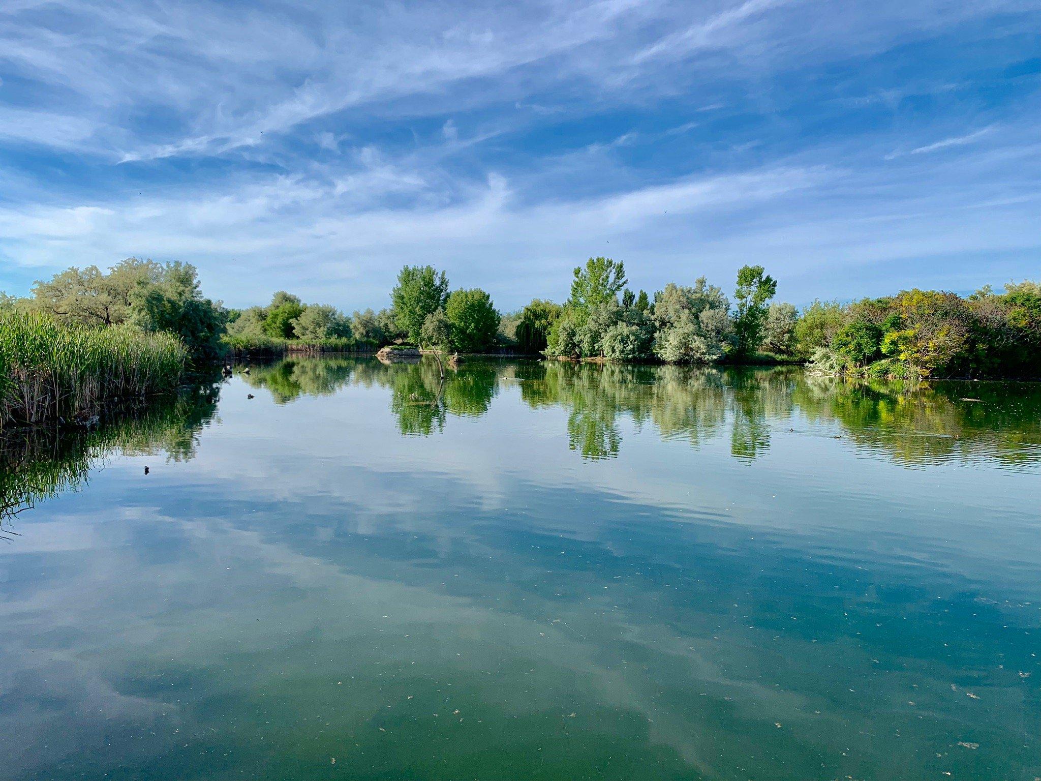 Photo by TeavanaGirl