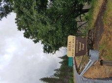 Stanislaus National Forest Vista: Rim of the World