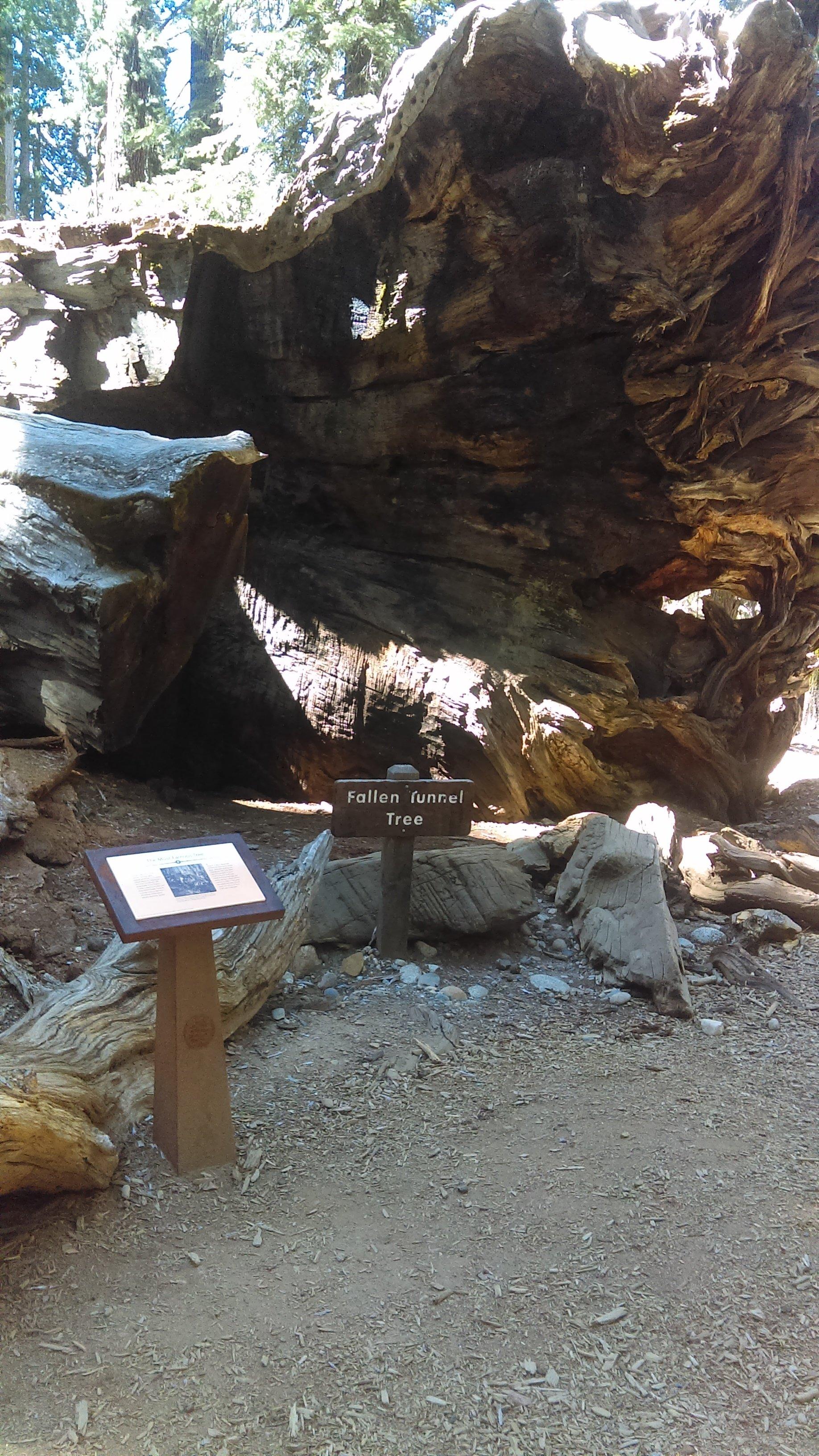 Photo by PacificNWFamily