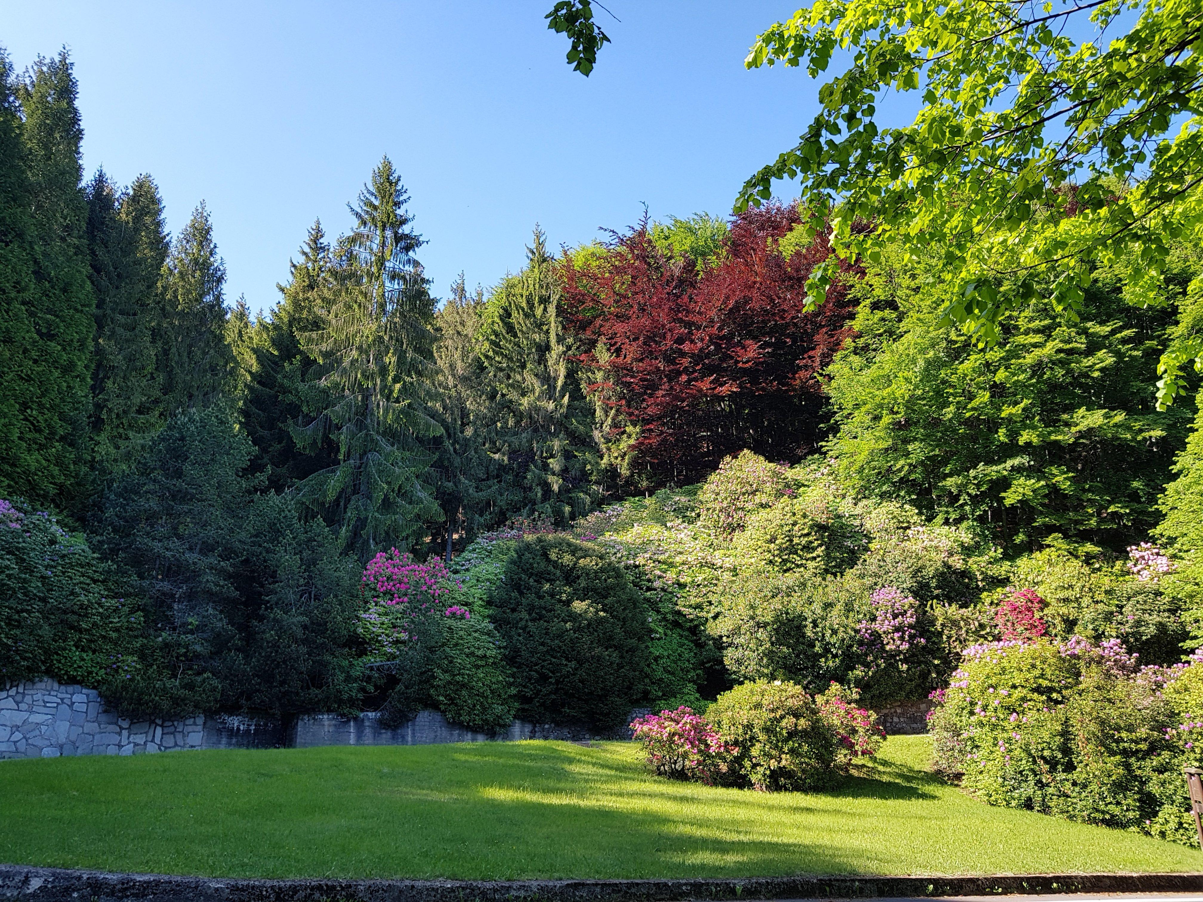 Conca dei Rododendri