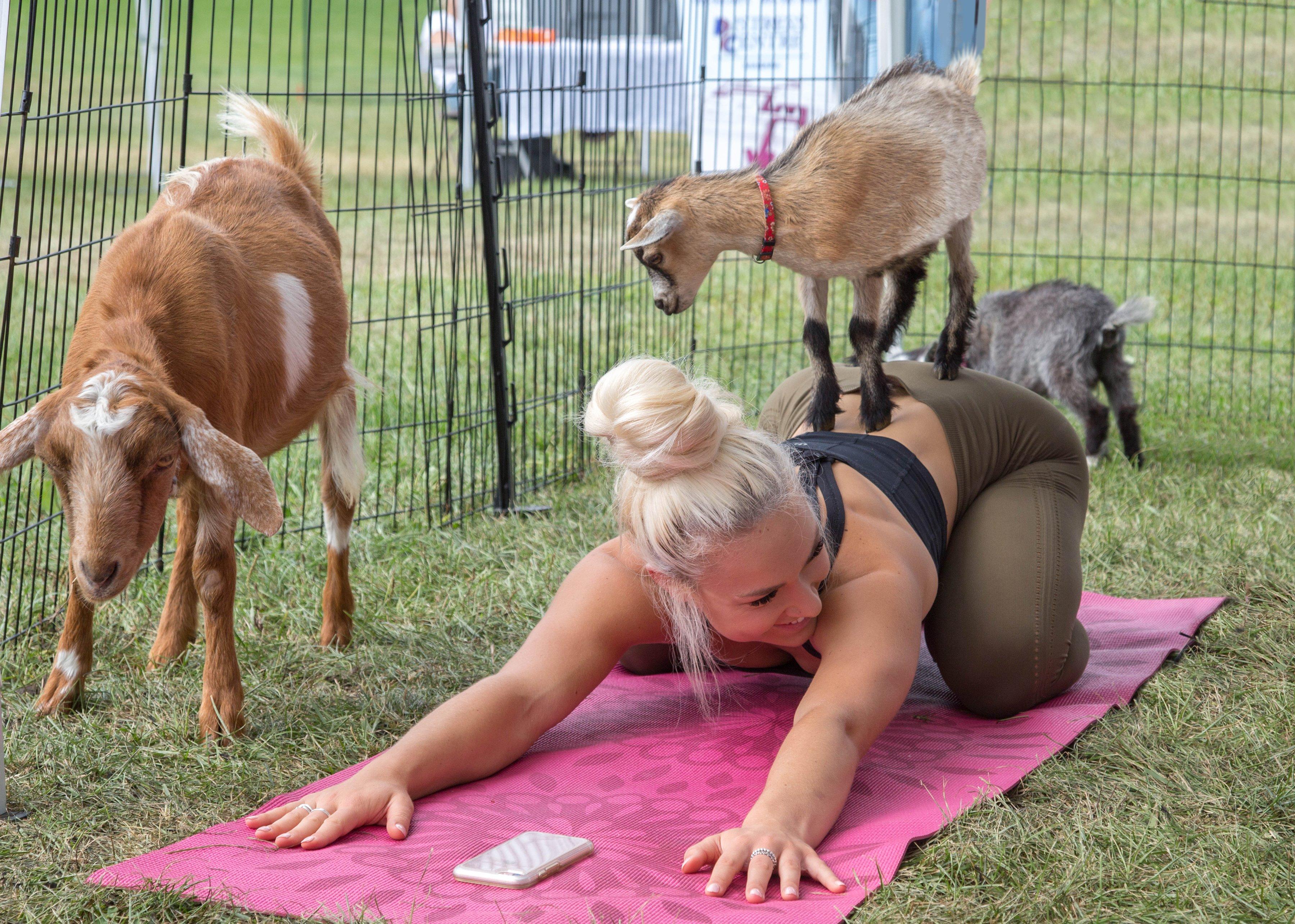 Fox Den Goat Yoga