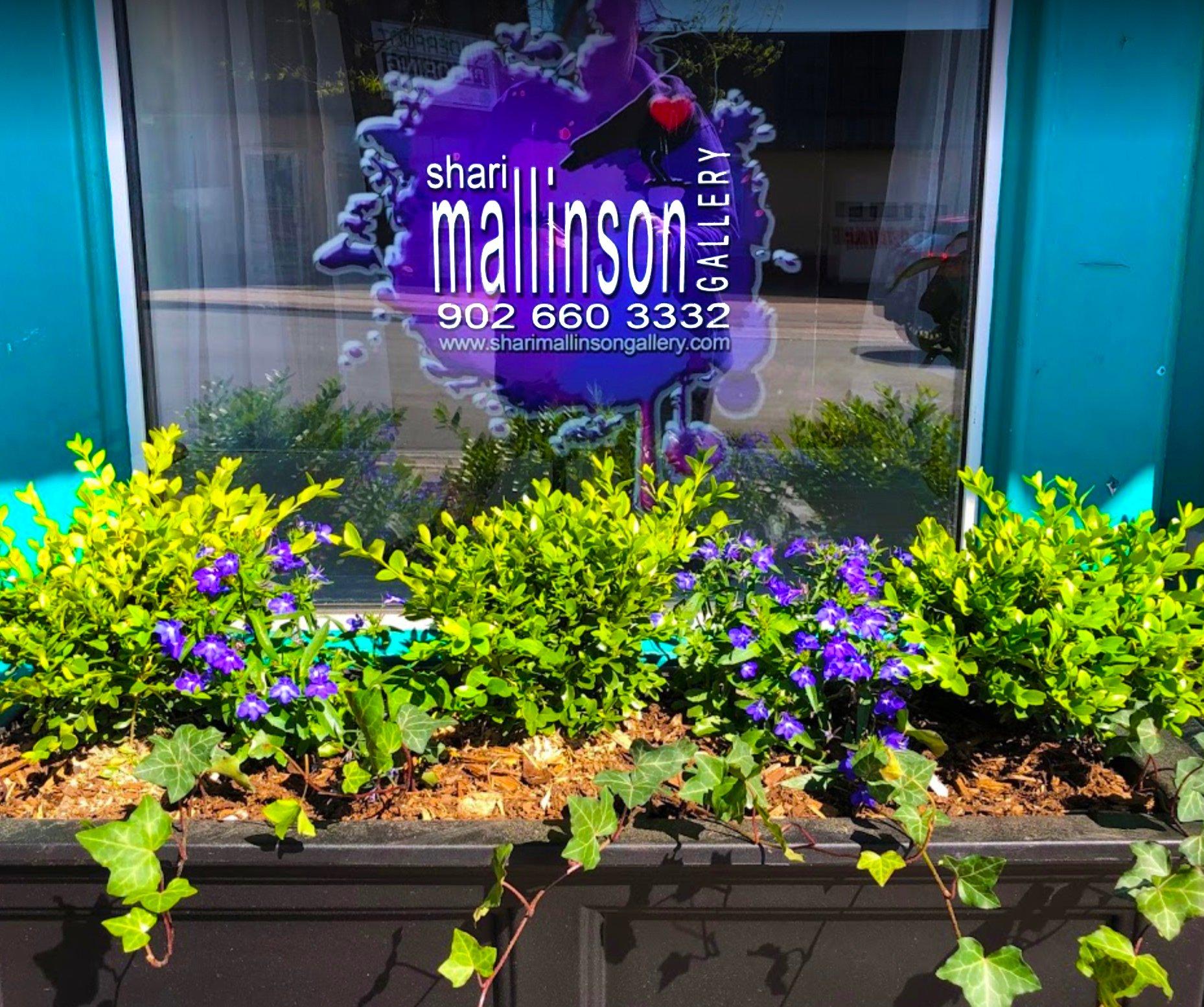 Shari Mallinson Gallery