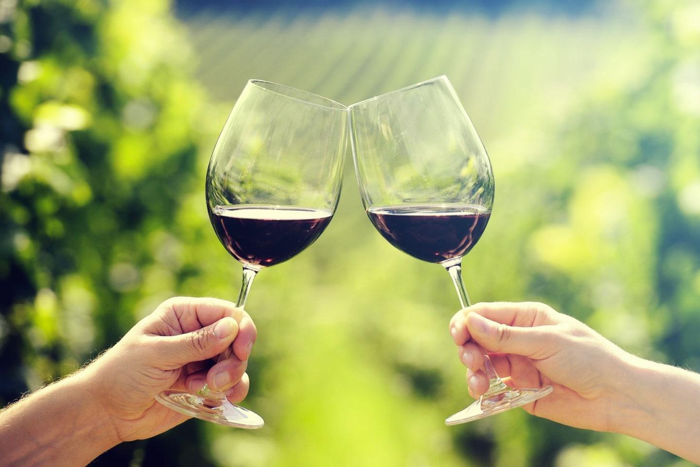 Bolgheri Locals Bike Guides | E-Bike Tours