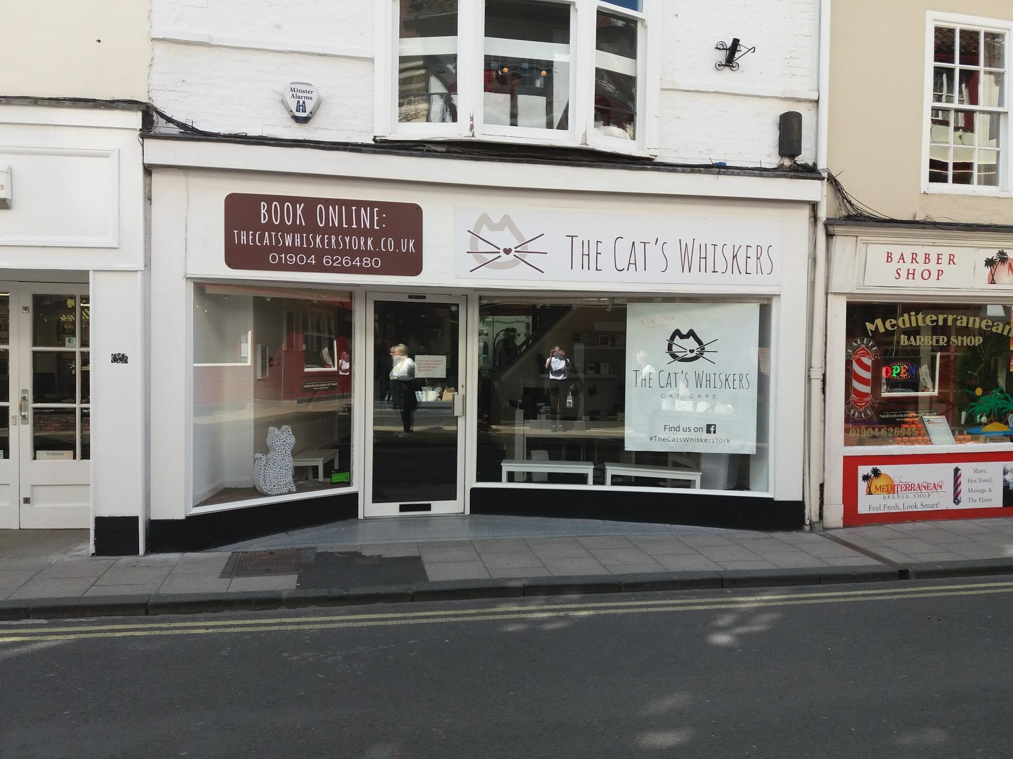 The Cat's Whiskers Cat Cafe