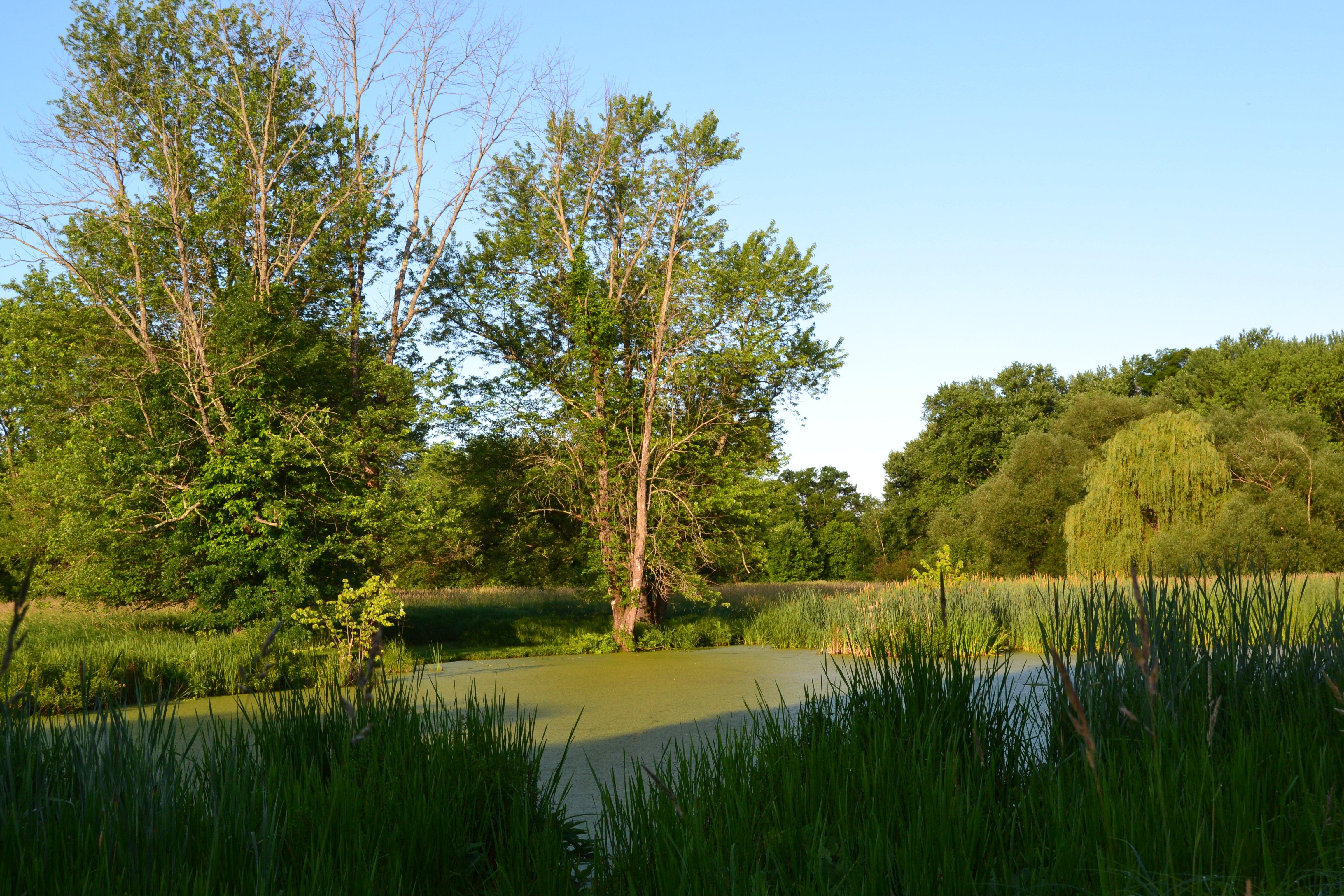Nyquist-Harcourt Wildlife Sanctuary