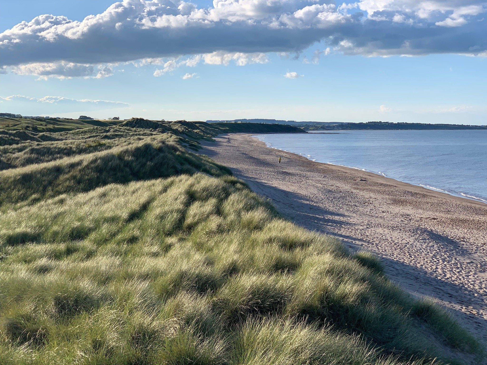 Warkworth Beach
