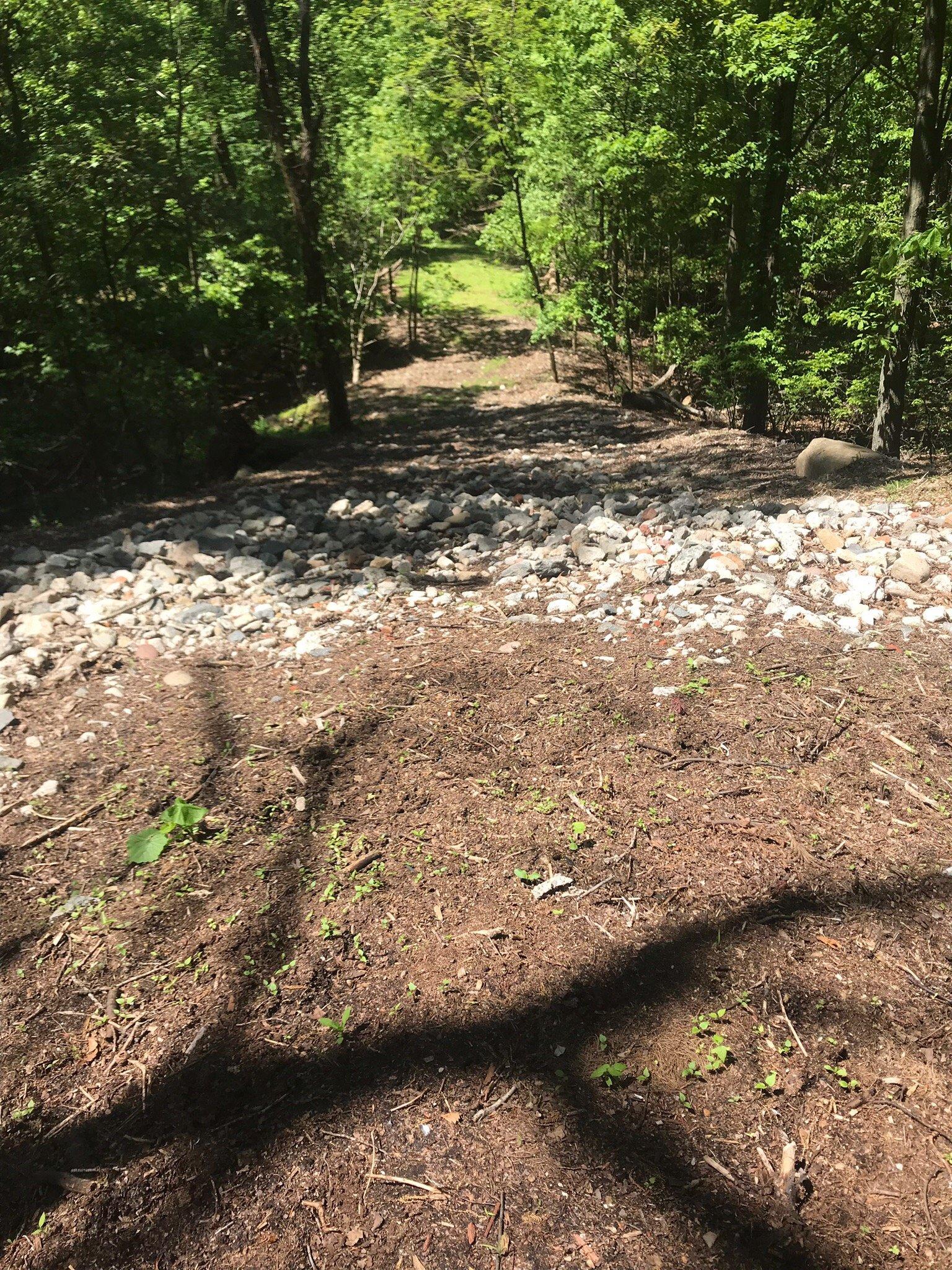 Photo by Rehman10liv