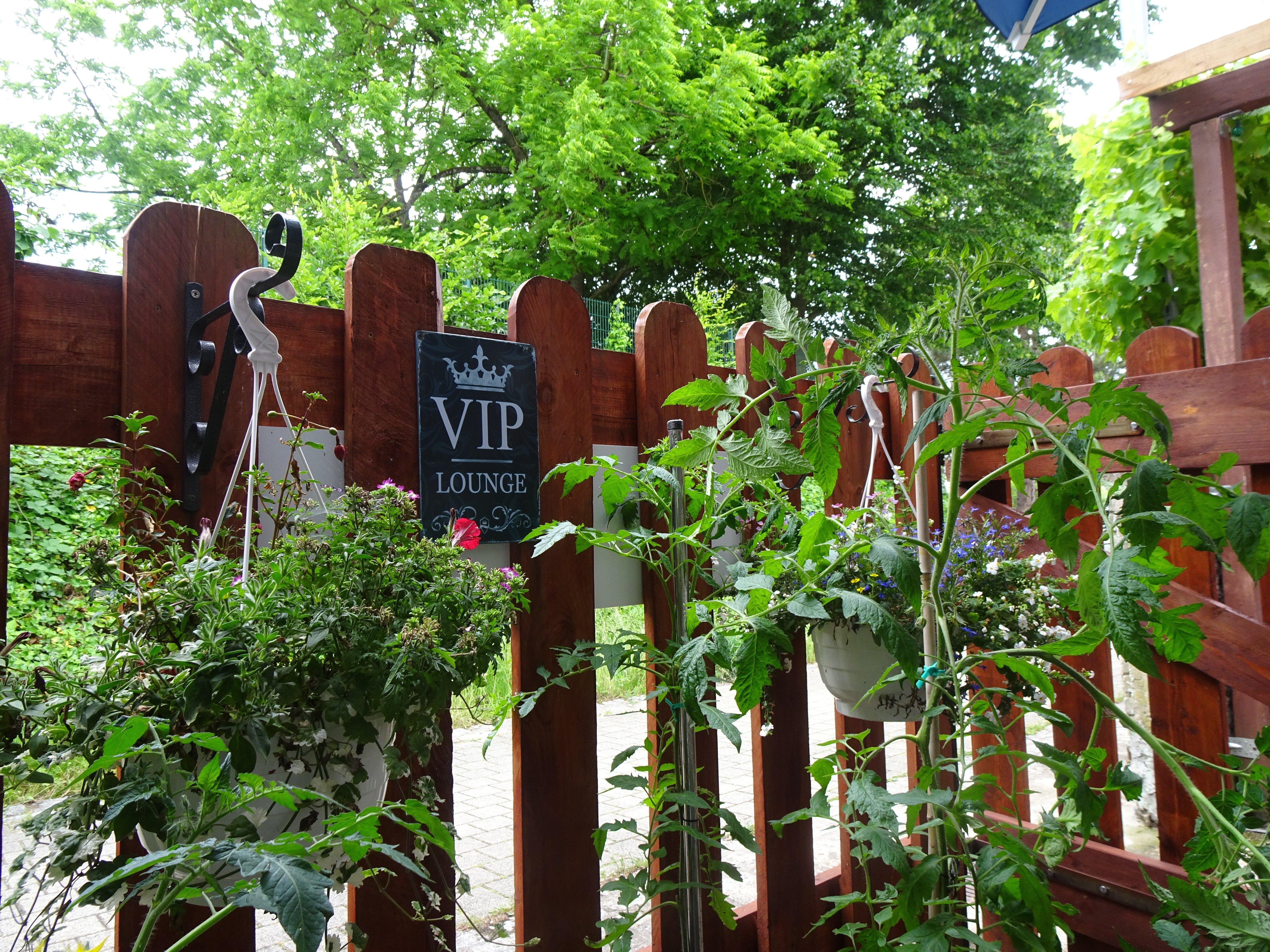 RESTAURANT Bar Le Queen's Borsalino