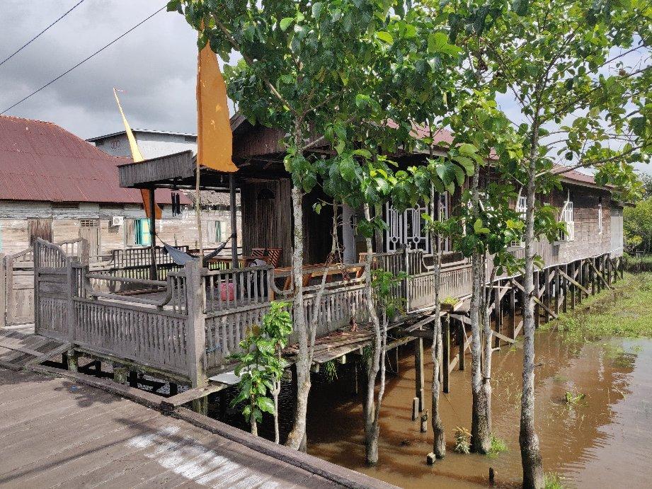 Arut Riverside Orangutan Guest house
