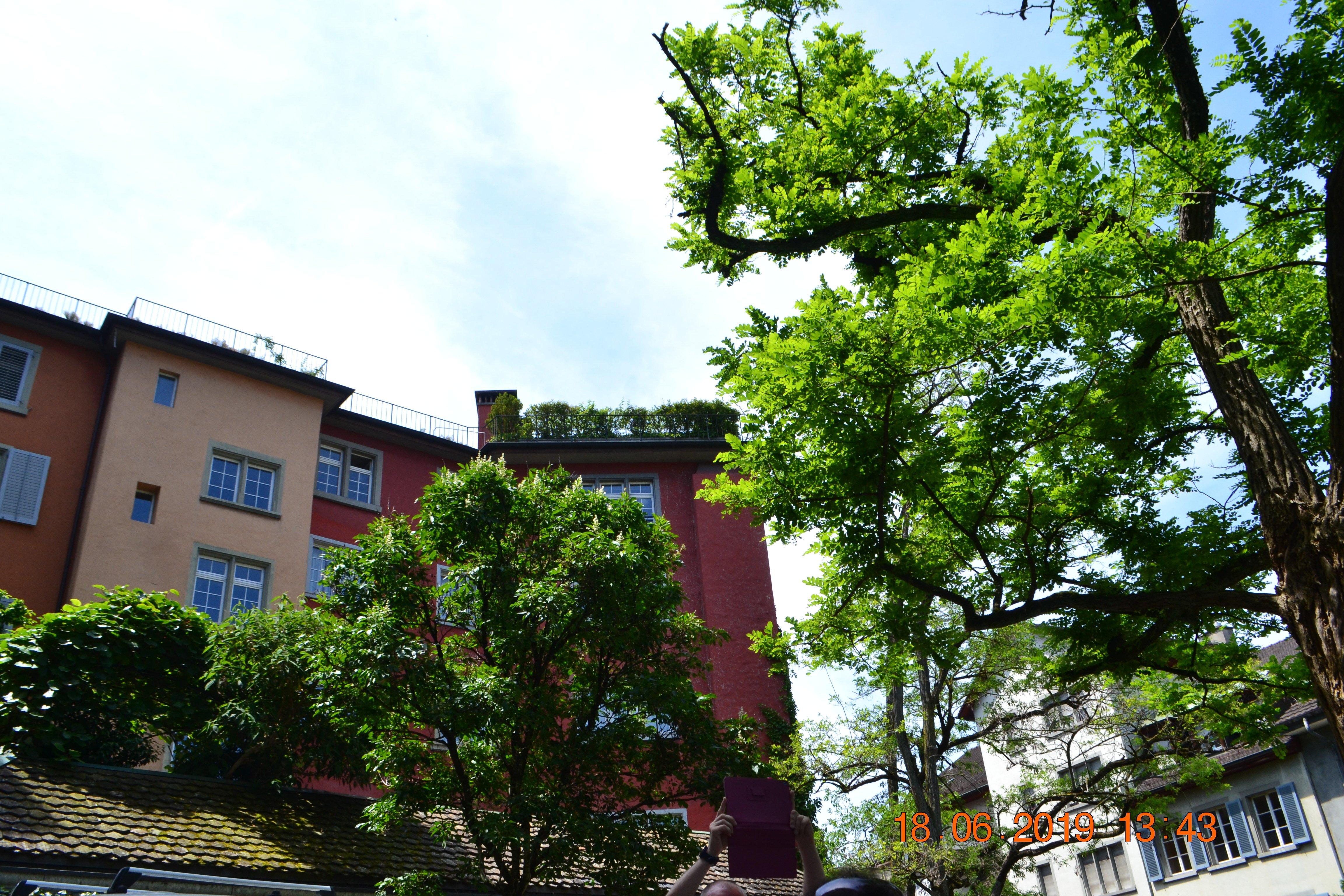 Lenin Apartment Zurich