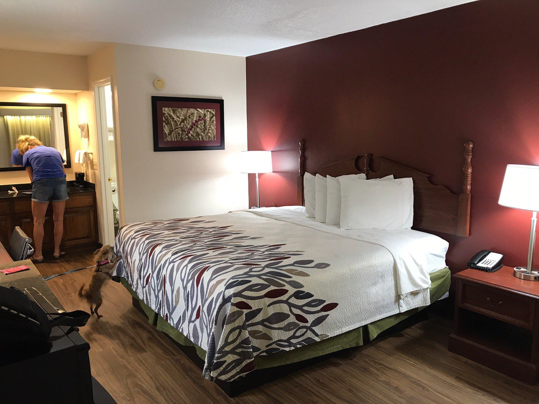 Photo by Bonish_Photo