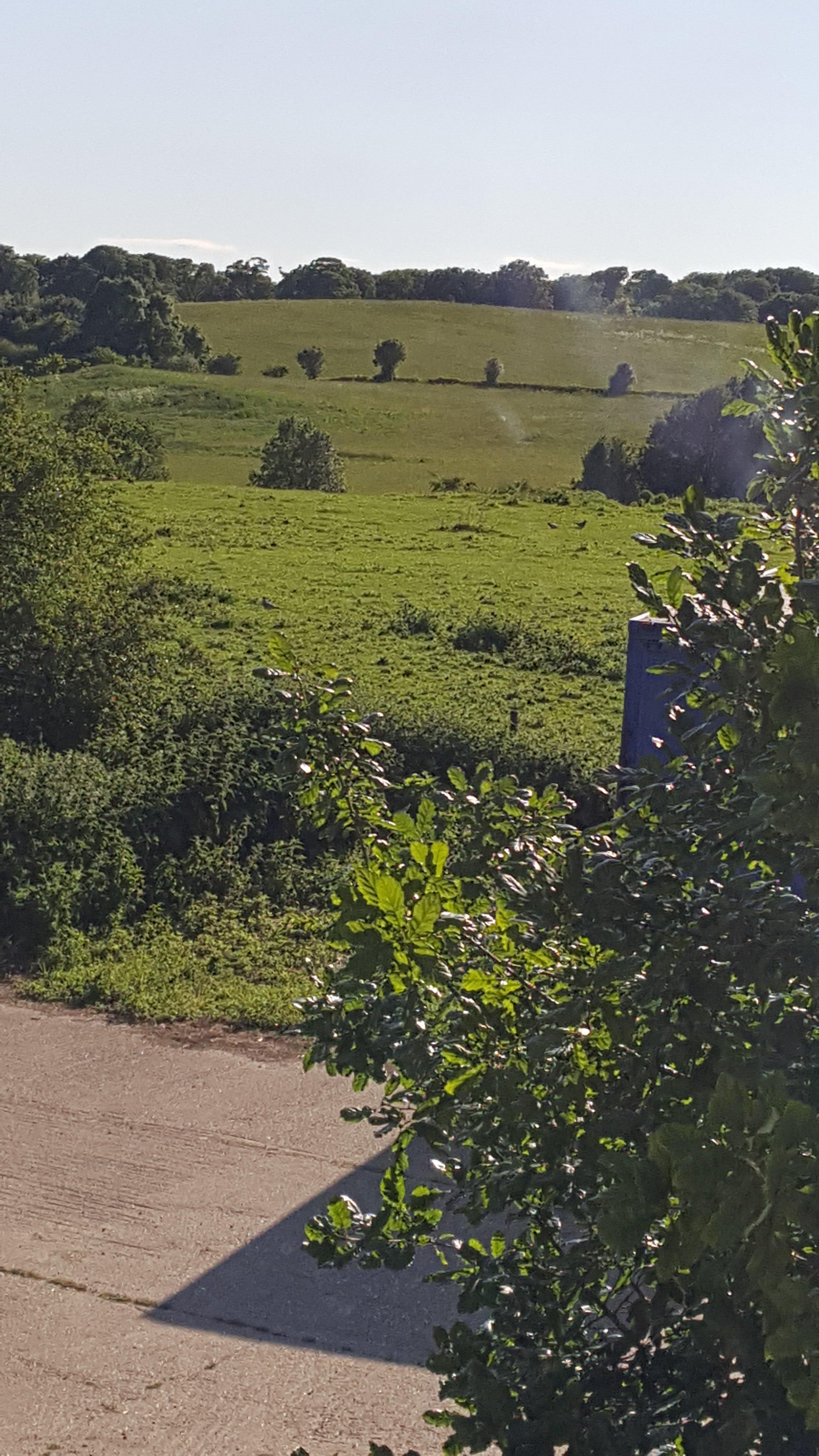 The Old School Bed & Breakfast