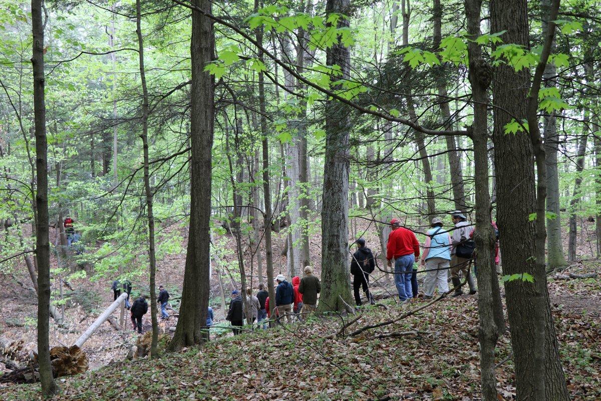 Henry A. Smith Woods