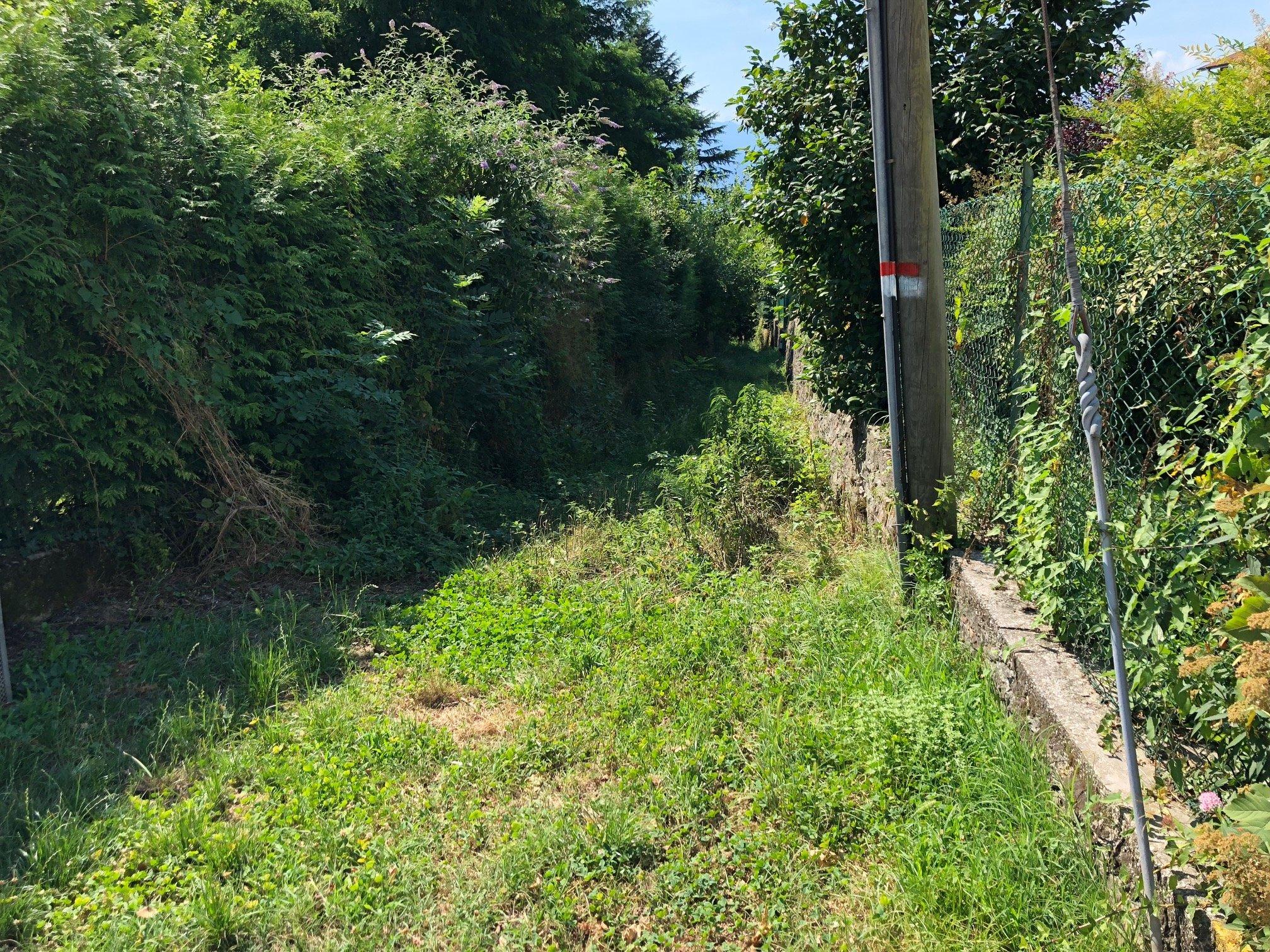 Stradella Per La Rocca