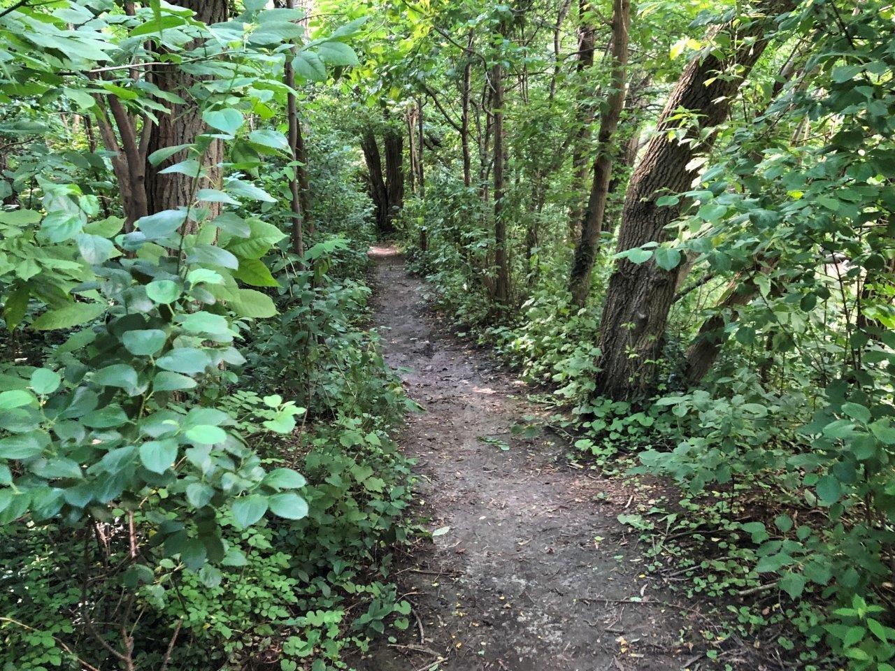 Photo by KodoDrummer