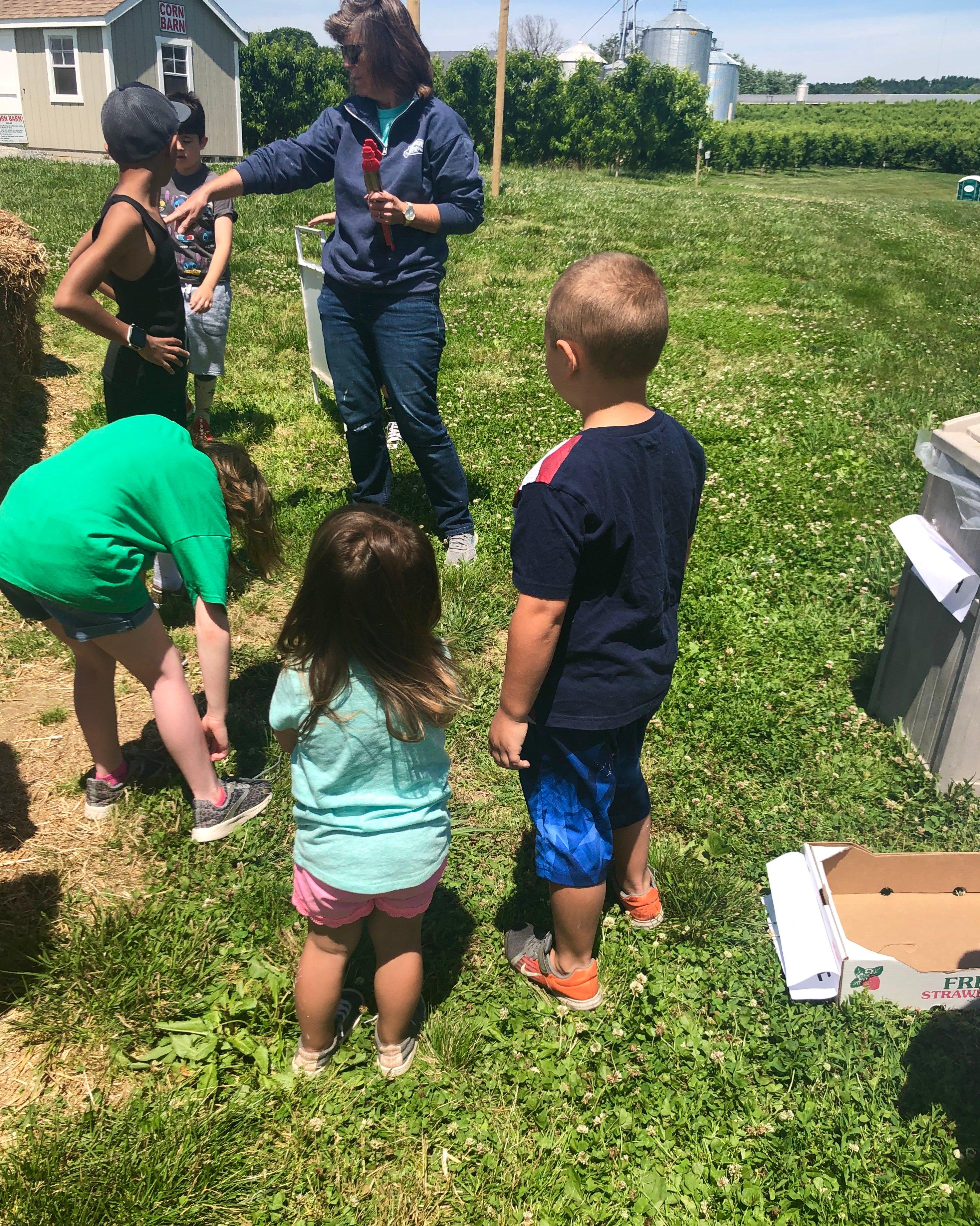 Flinchbaugh's Orchard and Farm Market