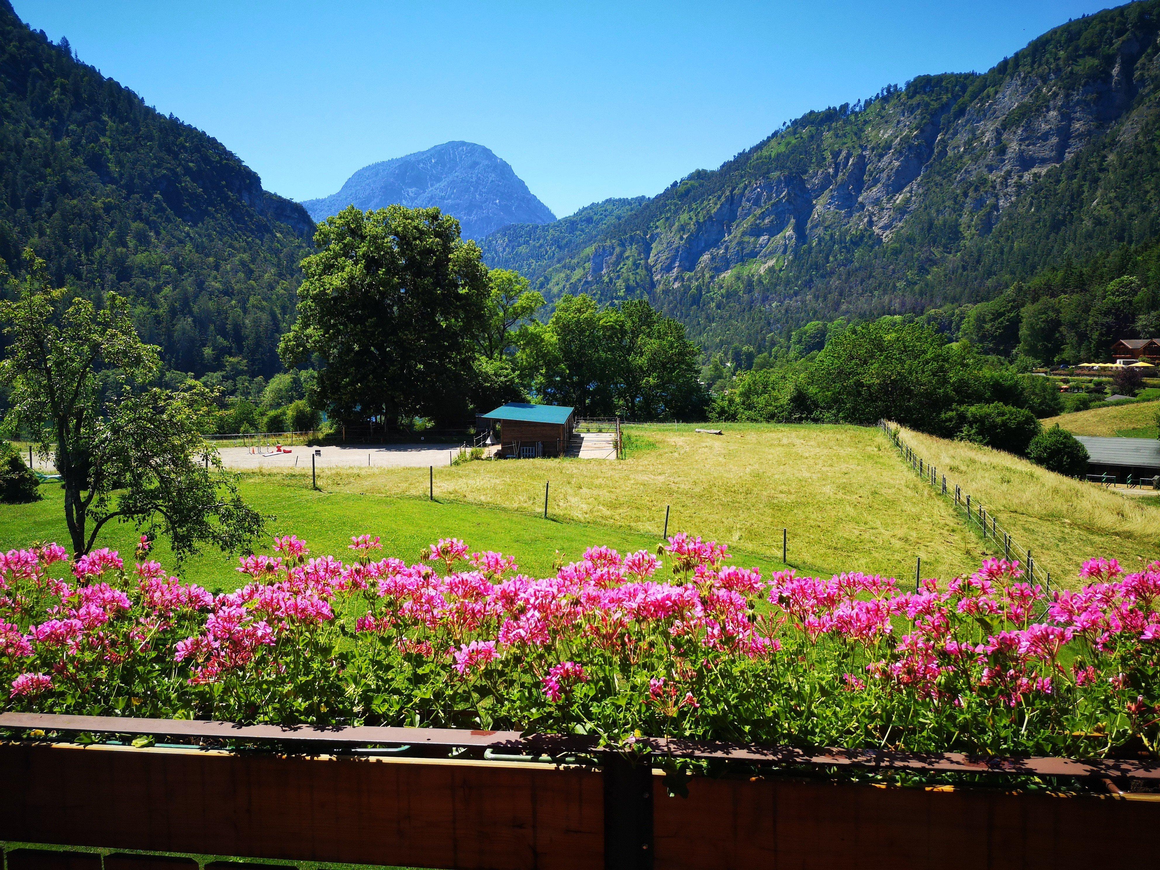 Hotel Pension Oechsner