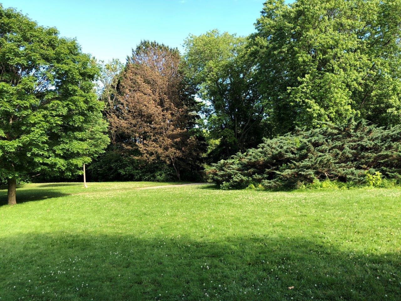 Photo by KodoDrummer