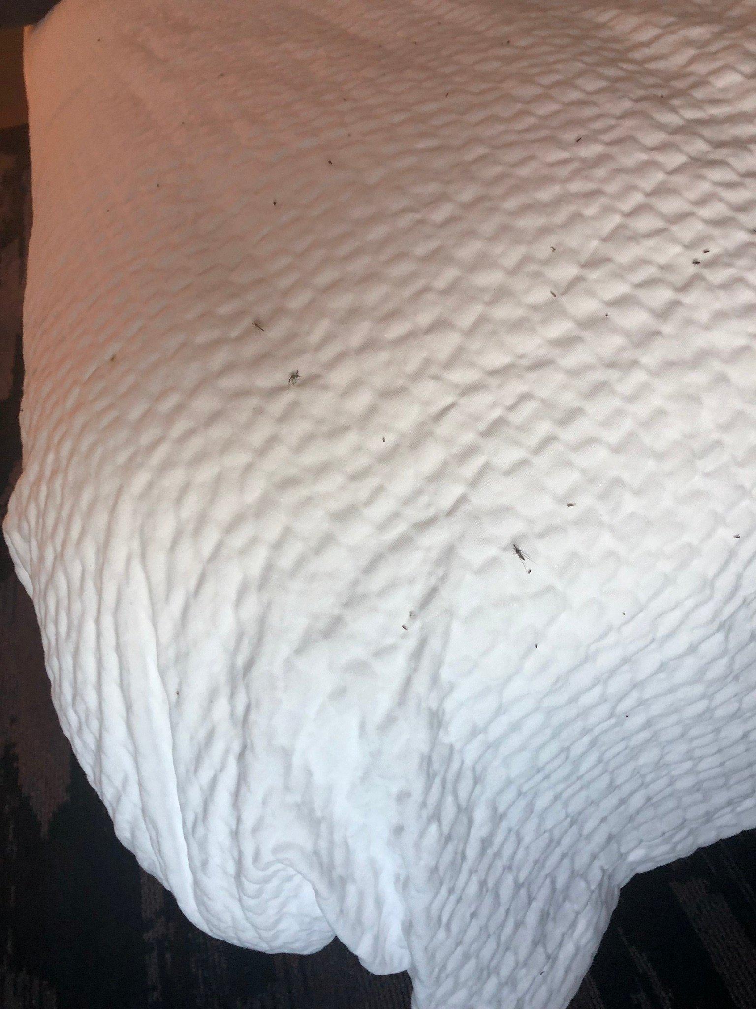 Fairfield Inn & Suites Salina