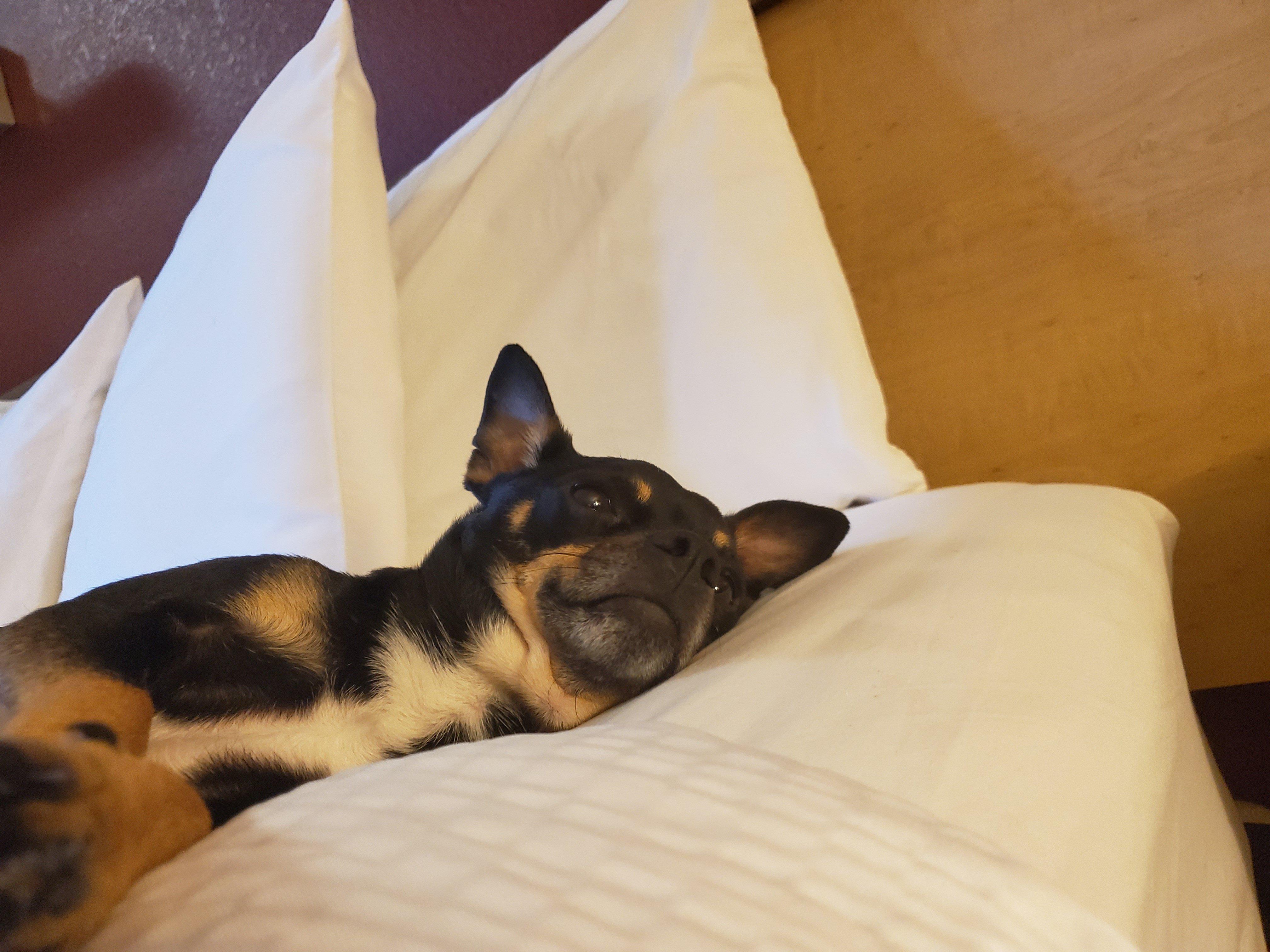 Red Roof Inn Detroit - St Clair Shores