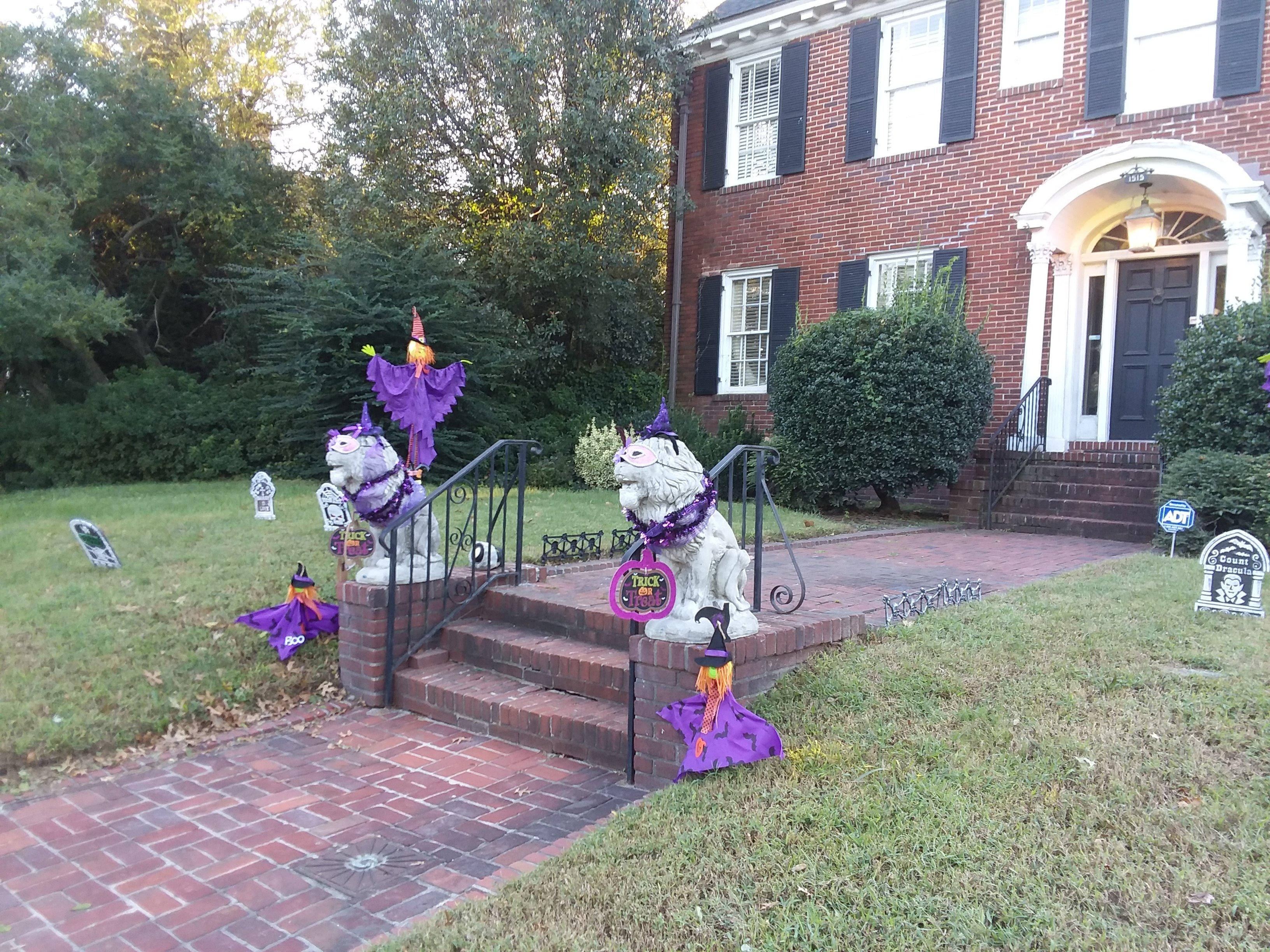 Photo by liondresser