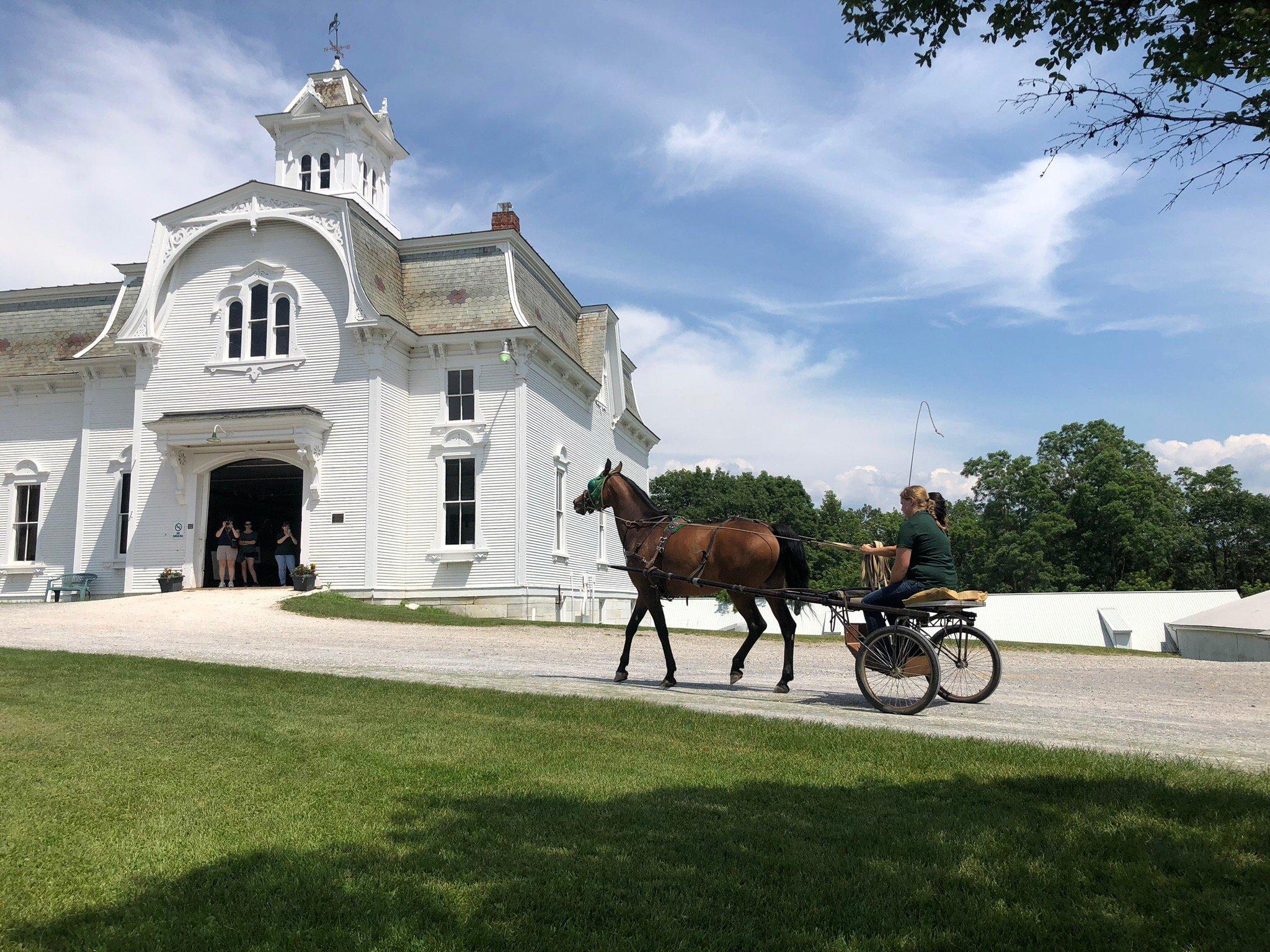 UVM Morgan Horse Farm