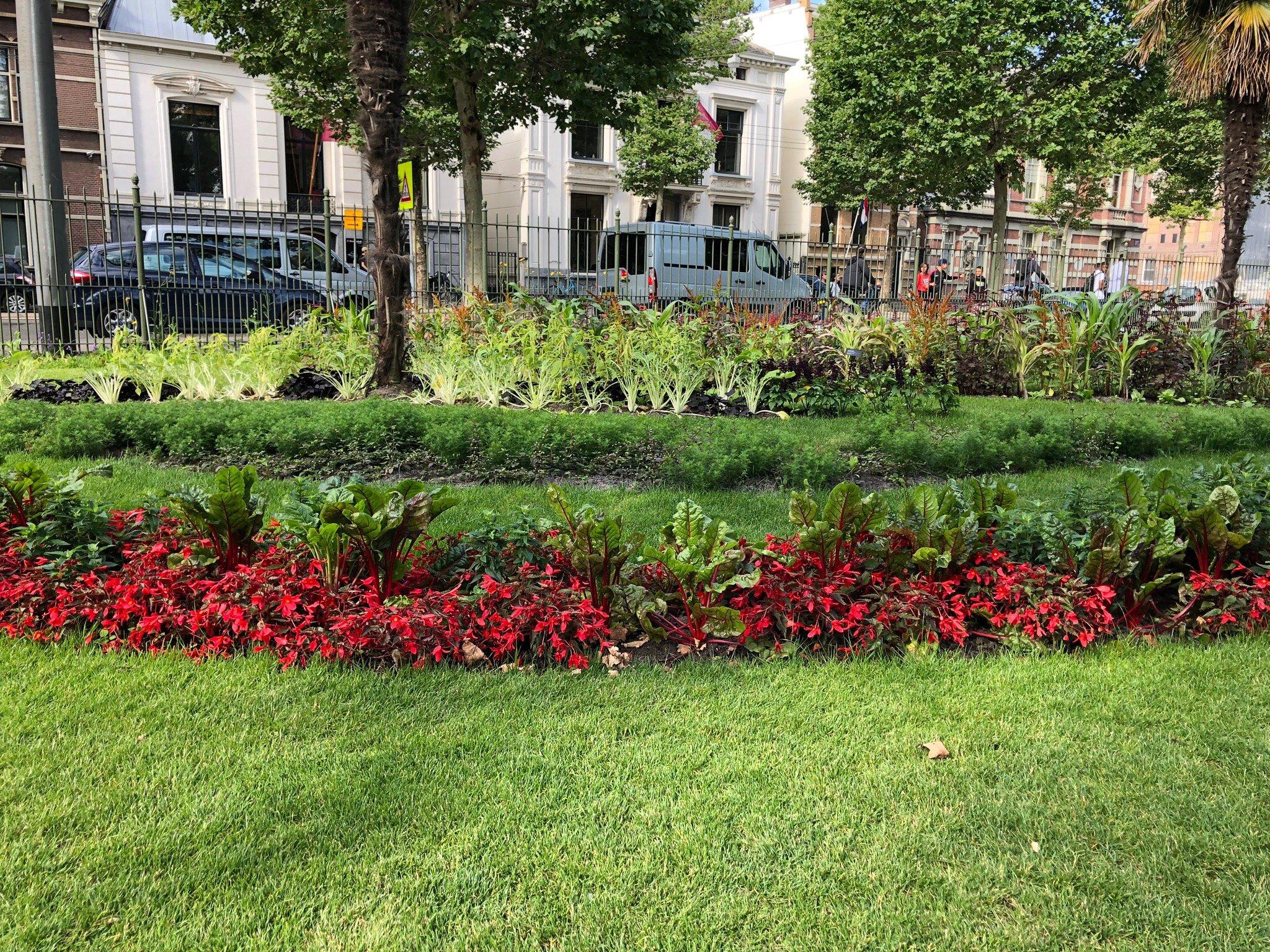 ARTIS Amsterdam Royal Zoo