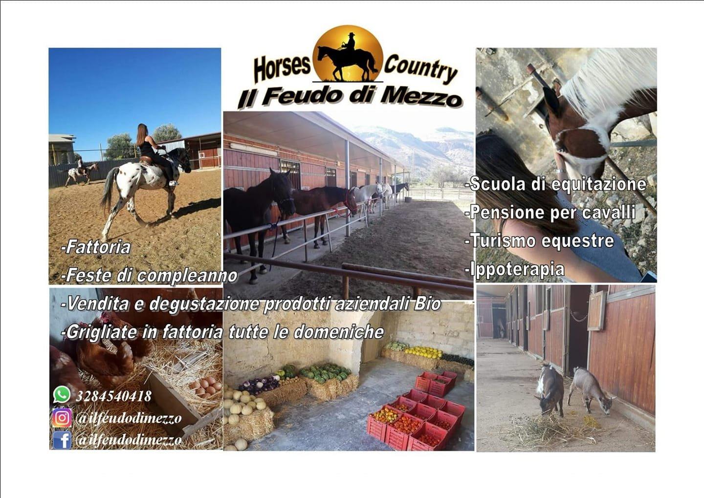 Azienda Agricola Bio Horses Country "Il Feudo Di Mezzo"