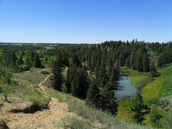 Carberry (Spirit Sands) Desert