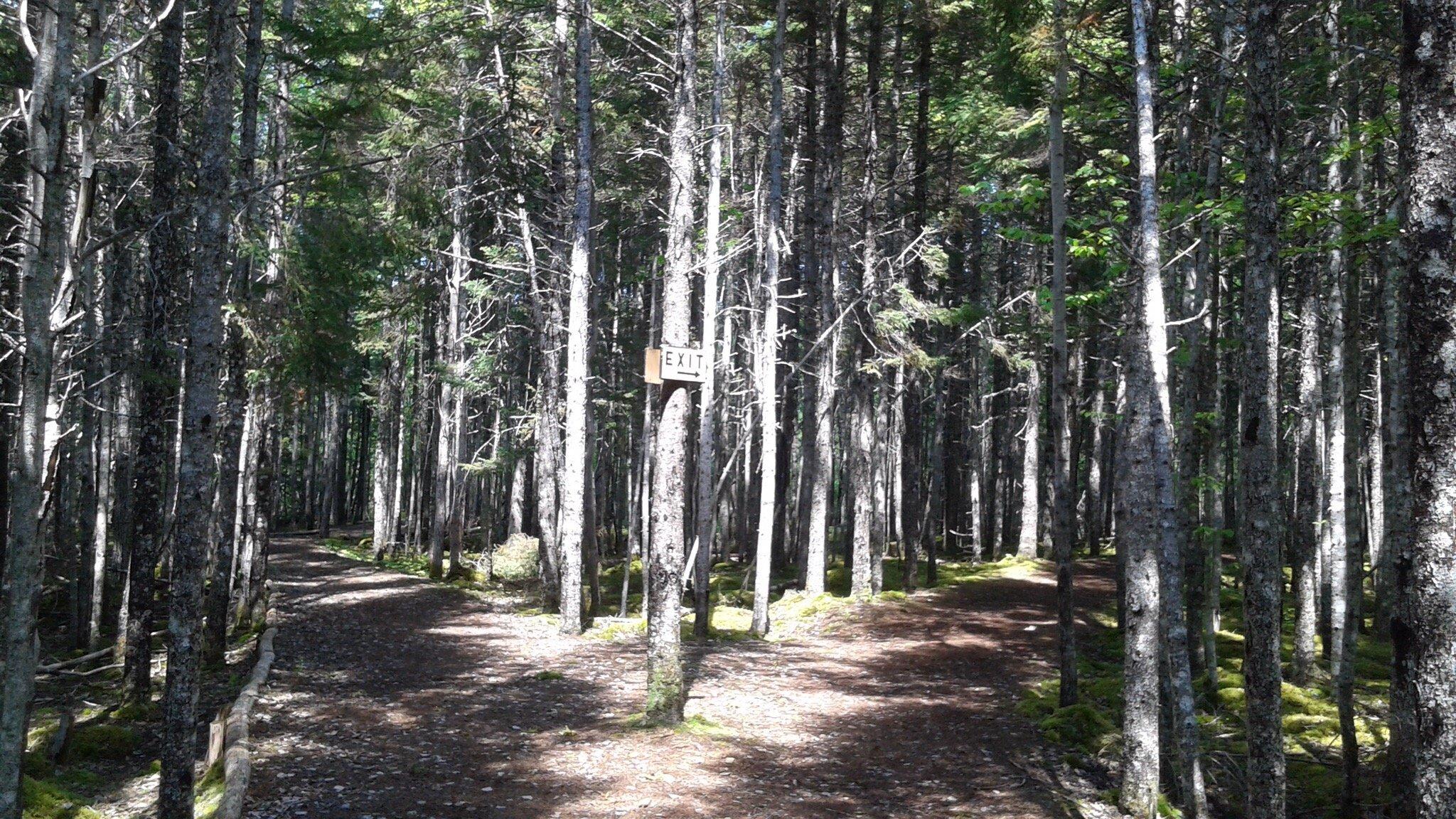 Carmanville Wetlands Interpretation Centre and Nature Trail