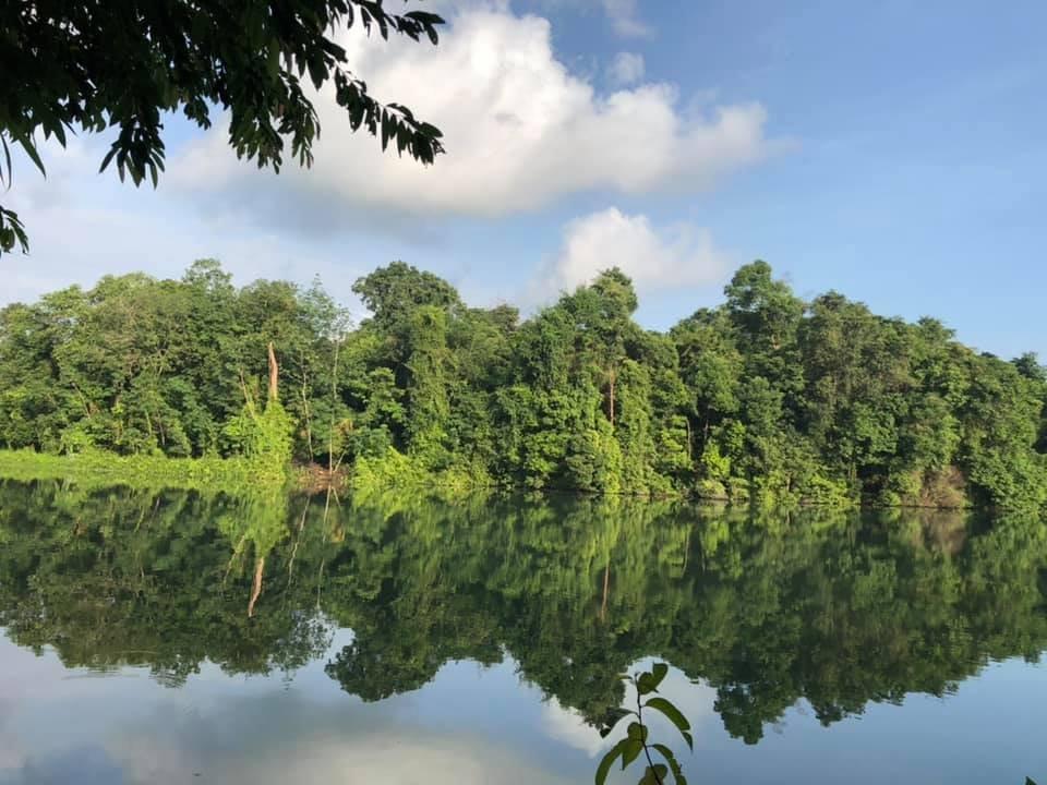 Lower Peirce Reservoir Park