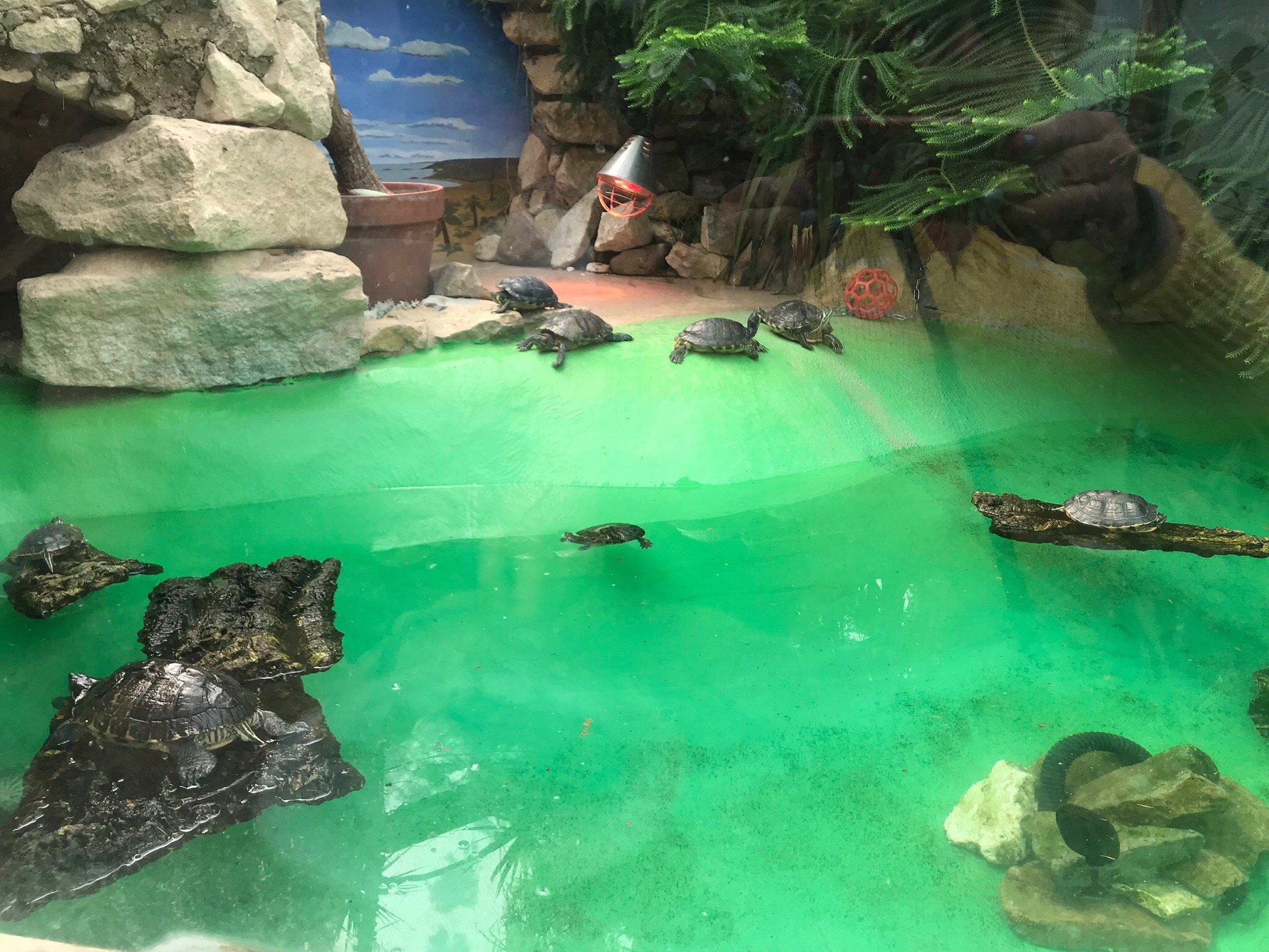 Mablethorpe Seal Sanctuary and Wildlife Centre